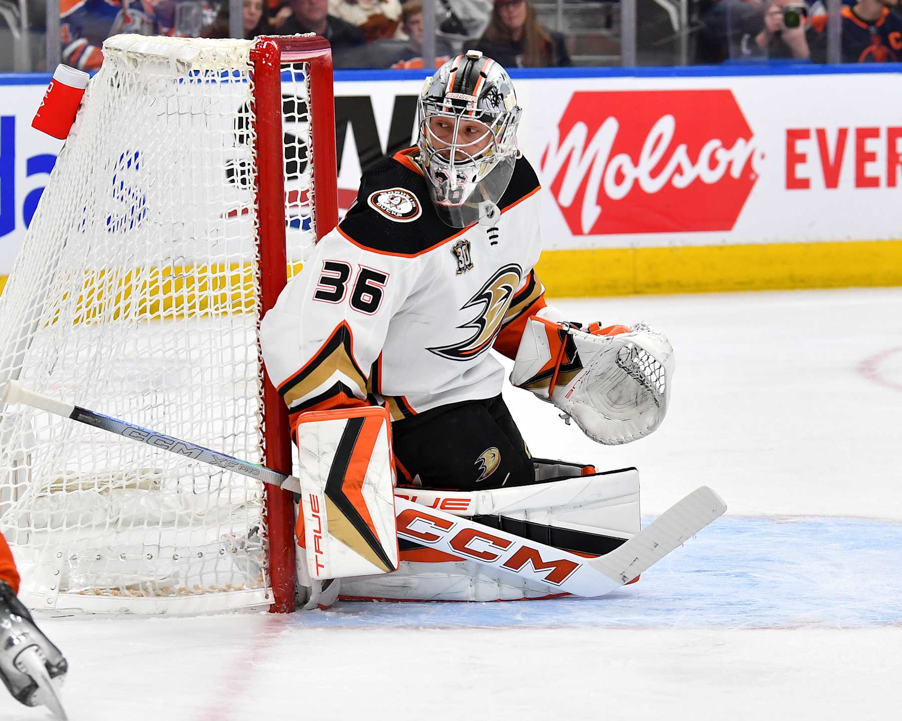 EDMONTON, CANADA - MARCH 30: John Gibson #36 of the Anaheim Ducks in action during the game against the Edmonton Oilers at Rogers Place on March 30, 2024, in Edmonton, Alberta, Canada. (Photo by Andy Devlin/NHLI via Getty Images)