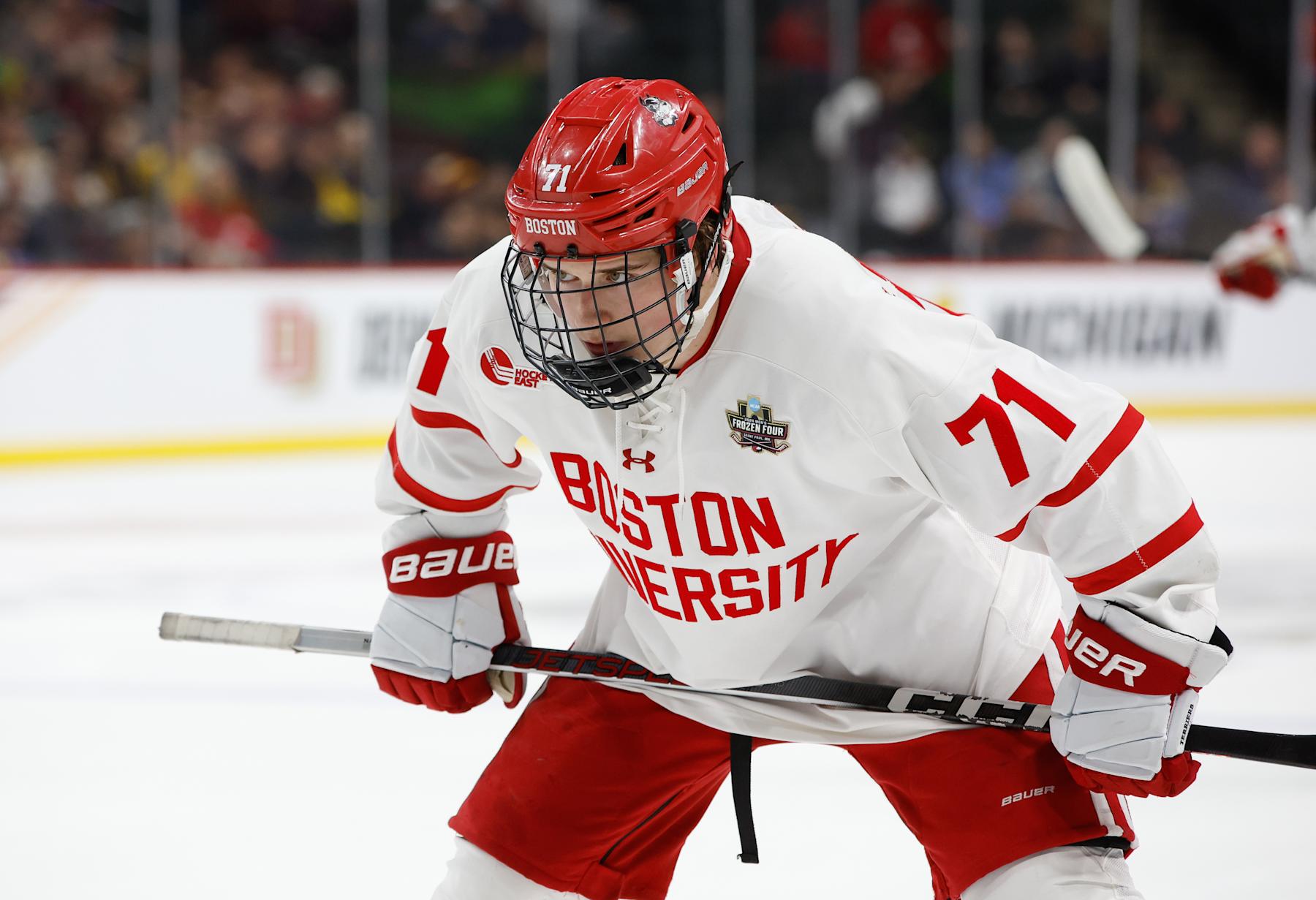 ST. PAUL, MINNESOTA - APRIL 11: Macklin Celebrini #71 of the Boston University Terriers skates against the Denver Pioneers during the NCAA Men's Hockey Frozen Four semifinal at the Xcel Energy Center on April 11, 2024 in St. Paul, Minnesota. (Photo by Richard T Gagnon/Getty Images)
