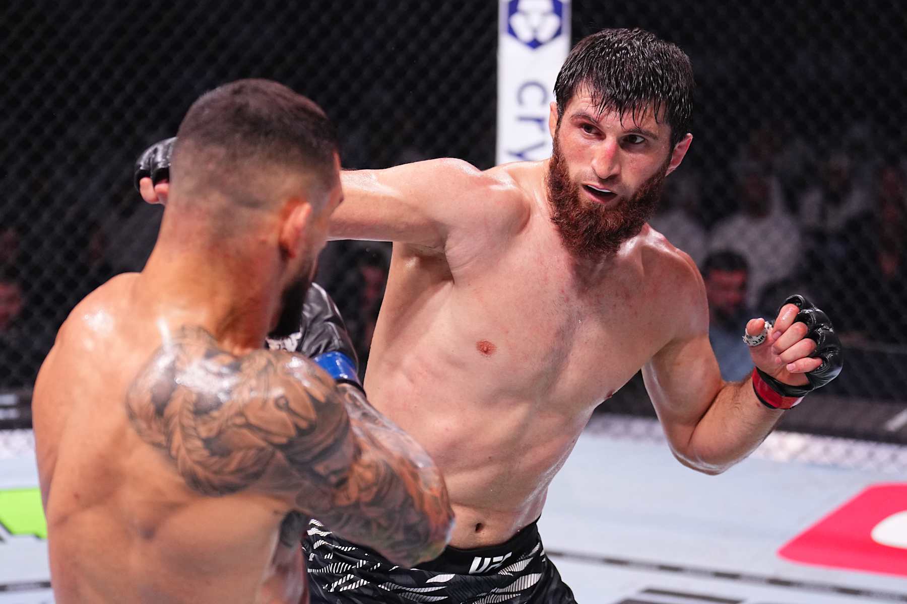 ABU DHABI, UNITED ARAB EMIRATES - OCTOBER 26: (R-L) Magomed Ankalaev of Russia punches Aleksandar Rakic of Austria in a light heavyweight fight during the UFC 308 event at Etihad Arena on October 26, 2024 in Abu Dhabi, United Arab Emirates.  (Photo by Chris Unger/Zuffa LLC)