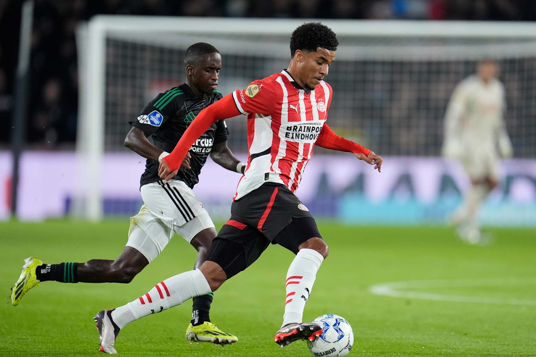 EINDHOVEN, NETHERLANDS - OCTOBER 26: (L-R) Jamiro Monteiro of PEC Zwolle , Malik Tillman of PSV  during the Dutch Eredivisie  match between PSV v PEC Zwolle at the Philips Stadium on October 26, 2024 in Eindhoven Netherlands (Photo by Photo Prestige/Soccrates/Getty Images)