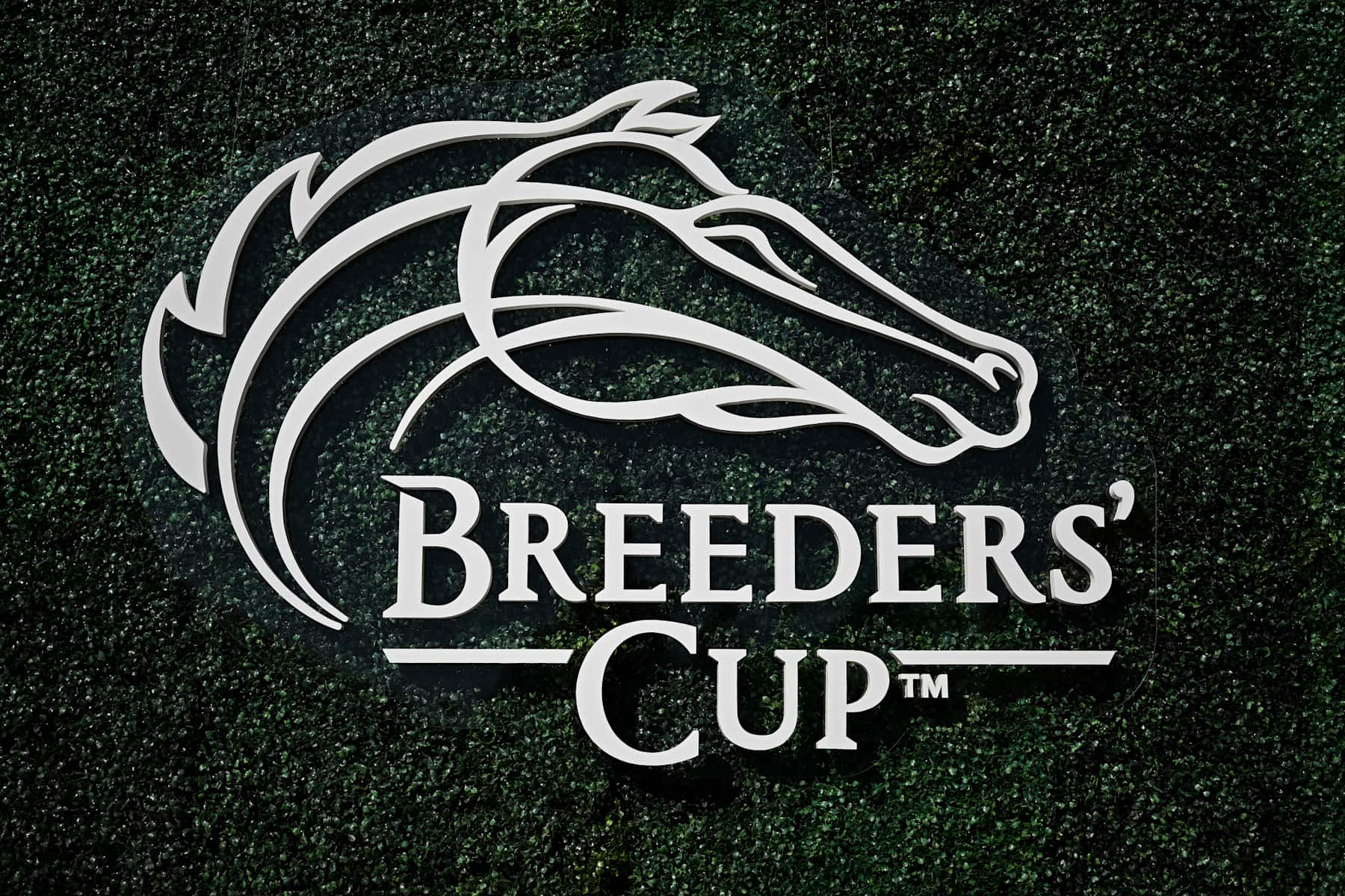 Breeders' Cup 2024: Turf (Full Race) | NBC Sports - YouTube