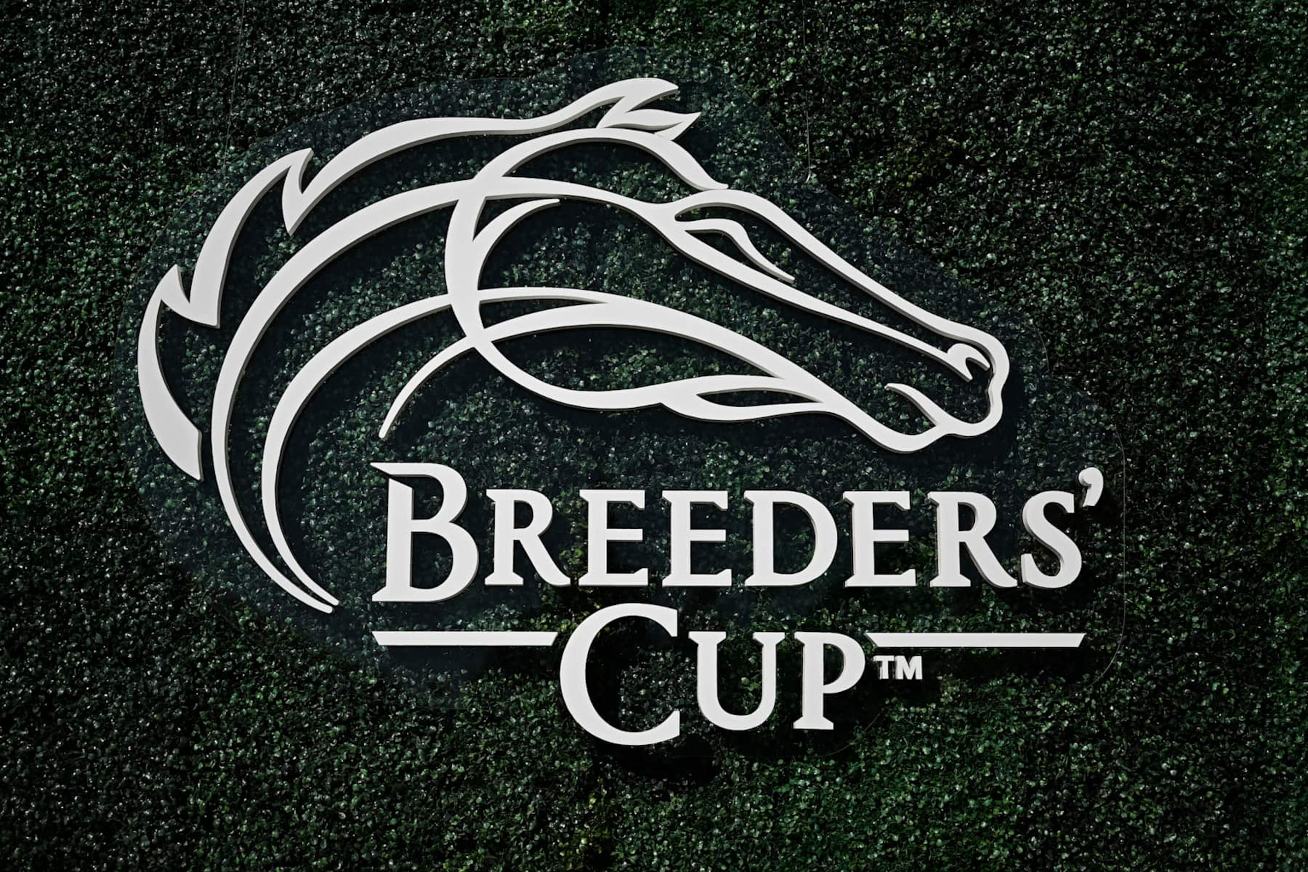 DEL MAR, CALIFORNIA - NOVEMBER 01: A detailed view of Breeders' Cup signage during the 2024 Breeders’ Cup World Championships at Del Mar Thoroughbred Club on November 01, 2024 in Del Mar, California.  (Photo by Orlando Ramirez/Getty Images)