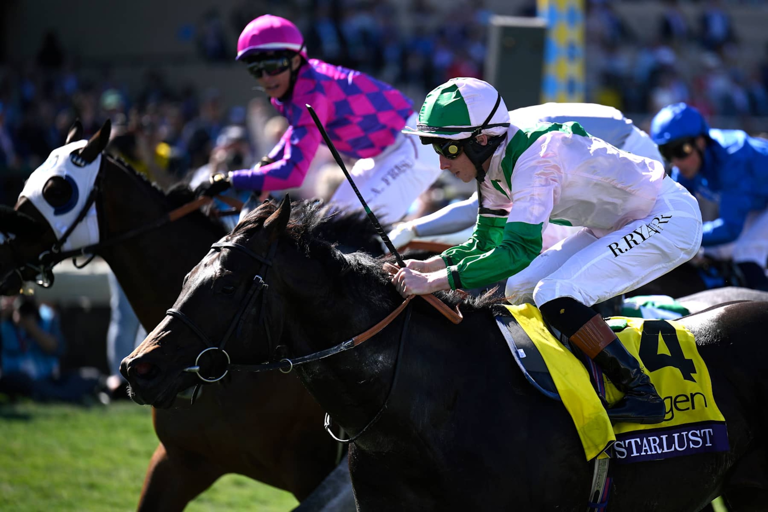 DEL MAR, CALIFORNIA - NOVEMBER 02: Starlust ridden by Rossa Ryan #4 wins the Breeders' Cup Turf Sprint on day two of the during day two of the 2024 Breeders' Cup World Championships at Del Mar Race Track on November 02, 2024 in Del Mar, California. (Photo by Orlando Ramirez/Getty Images) DEL MAR, CALIFORNIA - NOVEMBER 02: Starlust ridden by Rossa Ryan #4 wins the Breeders' Cup Turf Sprint on day two of the during day two of the 2024 Breeders' Cup World Championships at Del Mar Race Track on November 02, 2024 in Del Mar, California. (Photo by Orlando Ramirez/Getty Images)