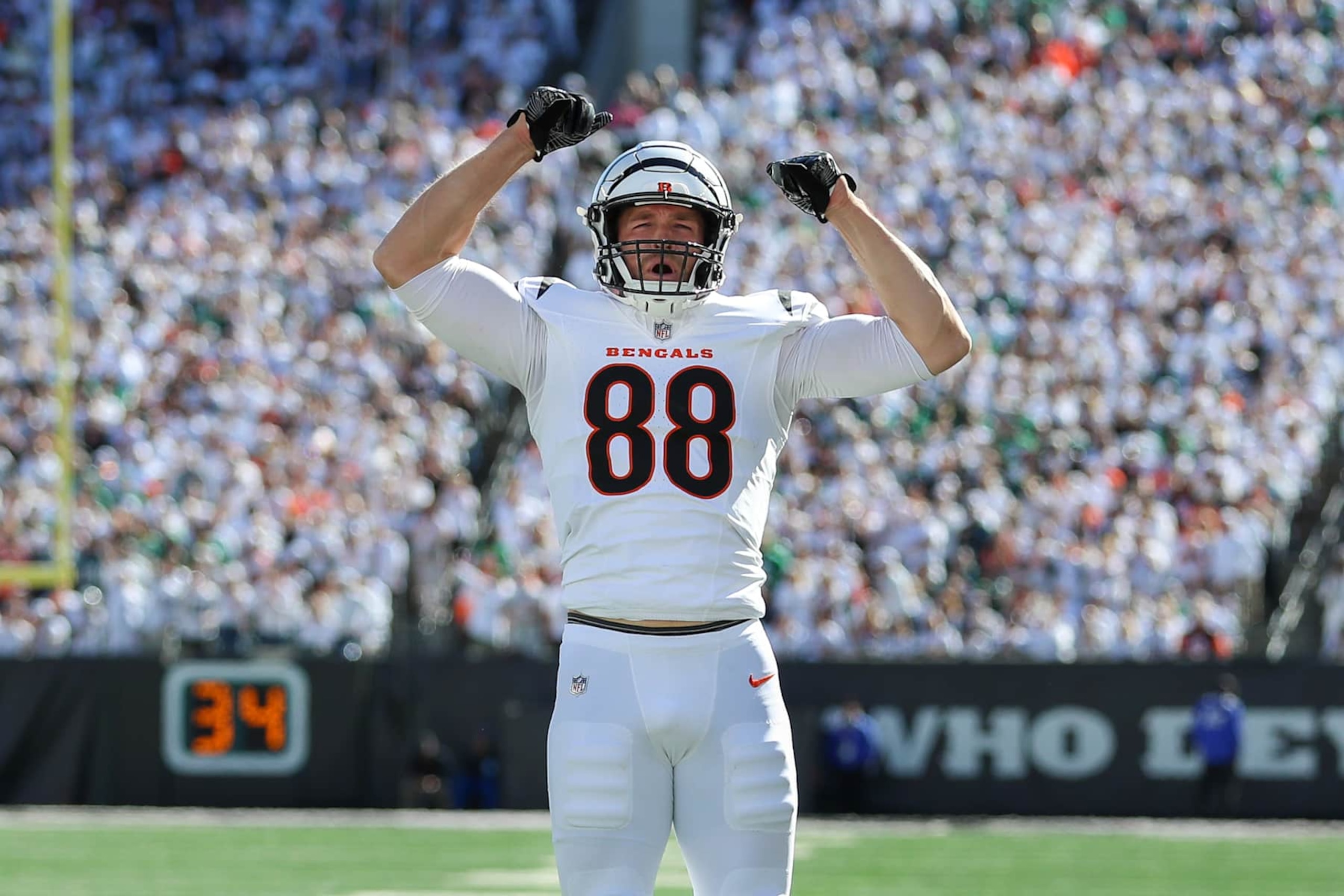 Bengals TE Mike Gesicki