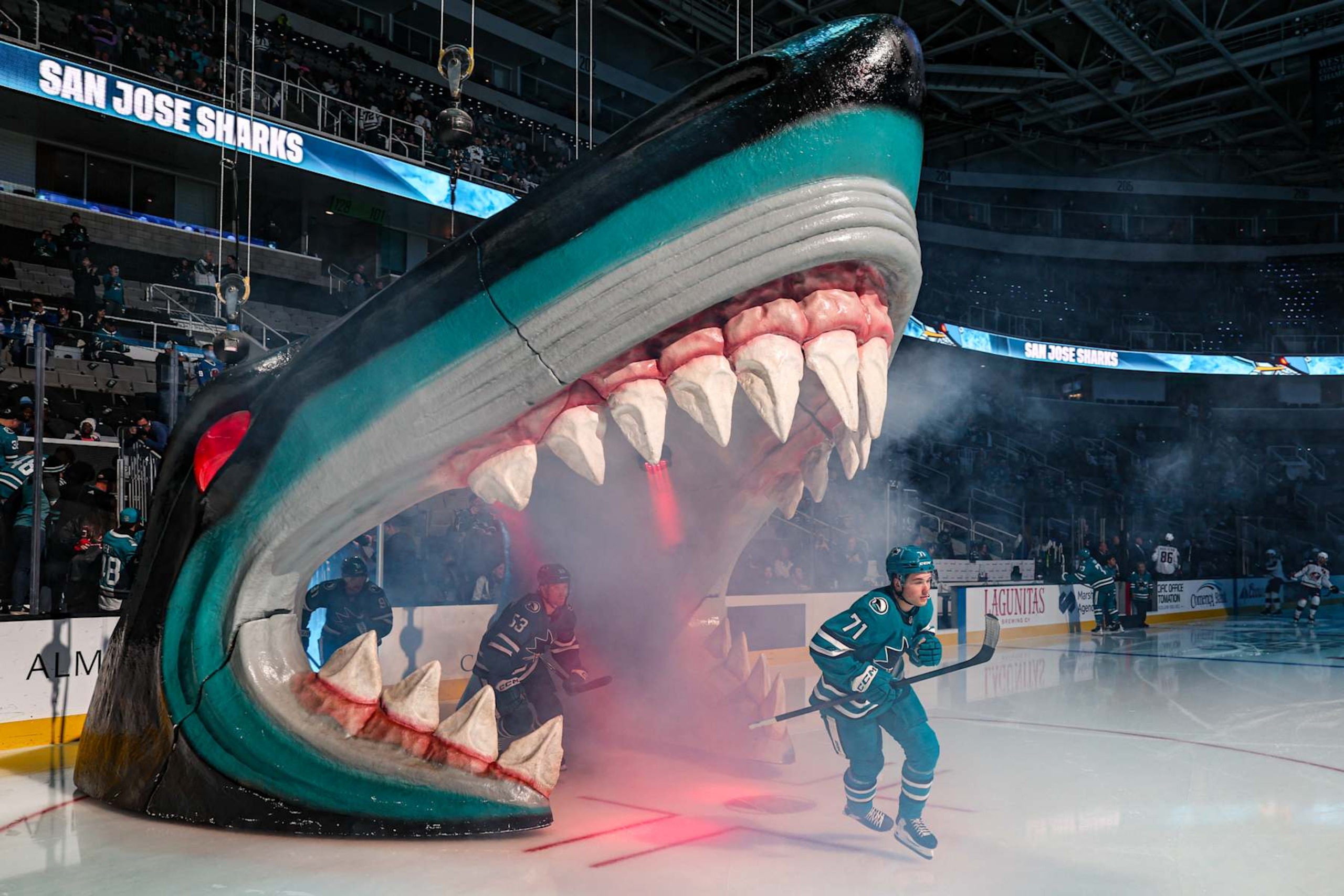 SAN JOSE, CANOVEMBER 5: Macklin Celebrini #71 of the San Jose Sharks skates onto the ice before a game against the Columbus Blue Jackets at SAP Center on November 5, 2024 (Photo by Panayiota Good/NHLI via Getty Images) SAN JOSE, CANOVEMBER 5: Macklin Celebrini #71 of the San Jose Sharks skates onto the ice before a game against the Columbus Blue Jackets at SAP Center on November 5, 2024 (Photo by Panayiota Good/NHLI via Getty Images)