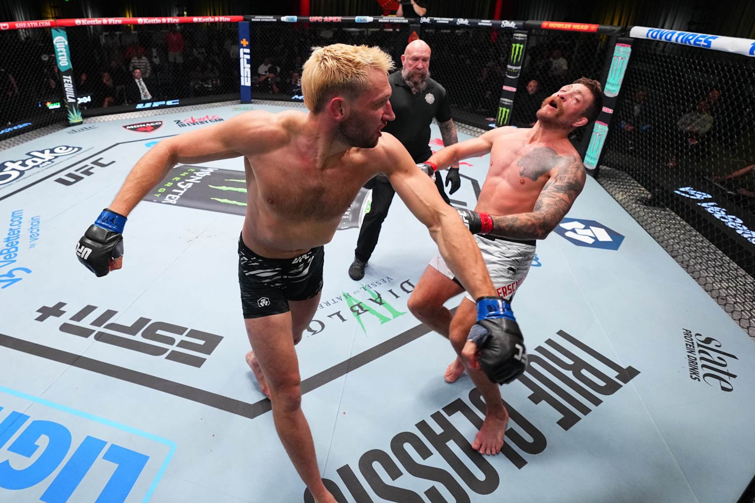 Reinier de Ridder punches Gerald Meerschaert 