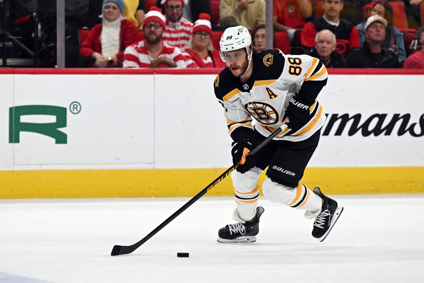 David Pastrnak