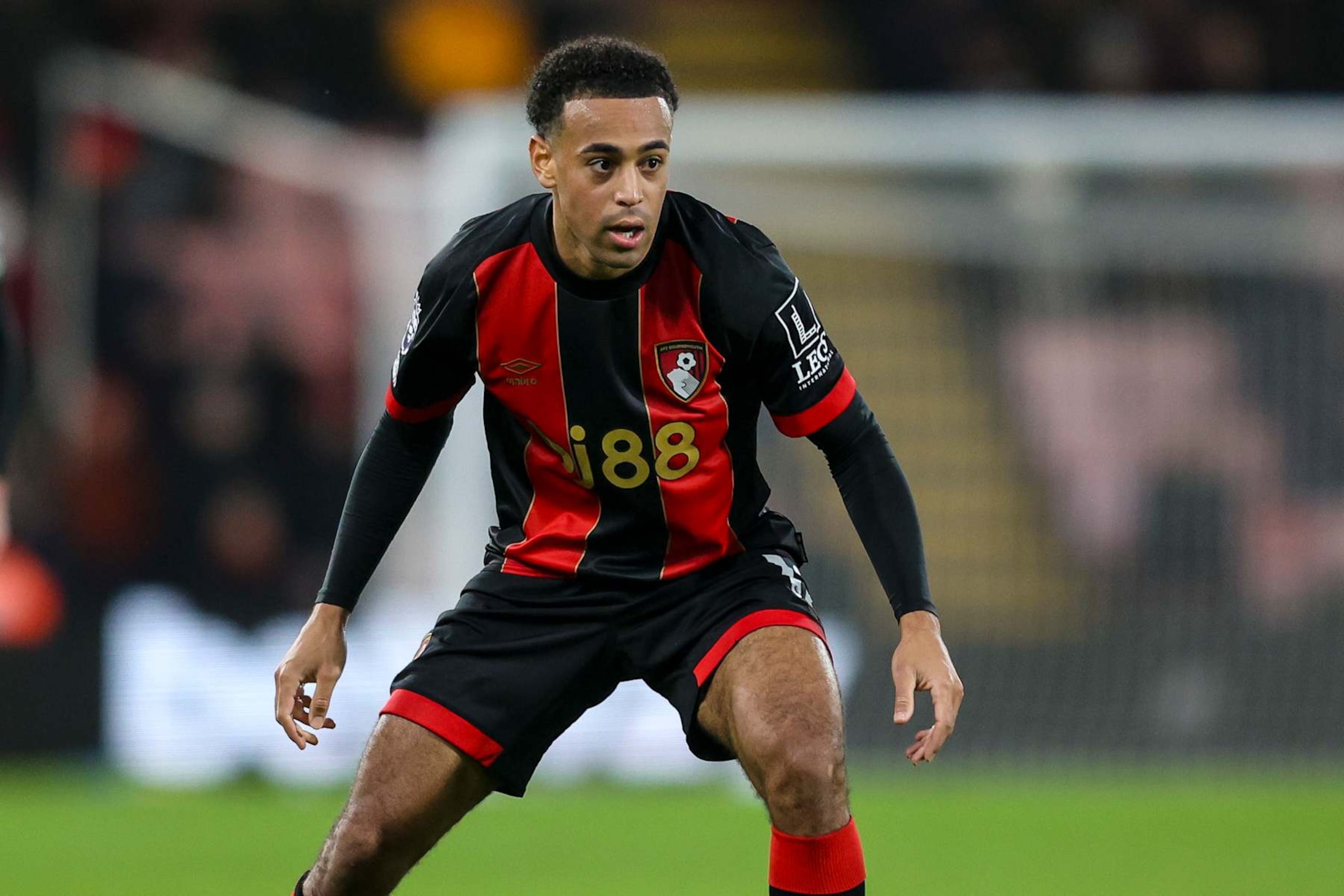 BOURNEMOUTH, ENGLAND - NOVEMBER 23: Tyler Adams of Bournemouth during the Premier League match between AFC Bournemouth and Brighton & Hove Albion FC at Vitality Stadium on November 23, 2024 in Bournemouth, England. (Photo by Robin Jones - AFC Bournemouth/AFC Bournemouth via Getty Images)