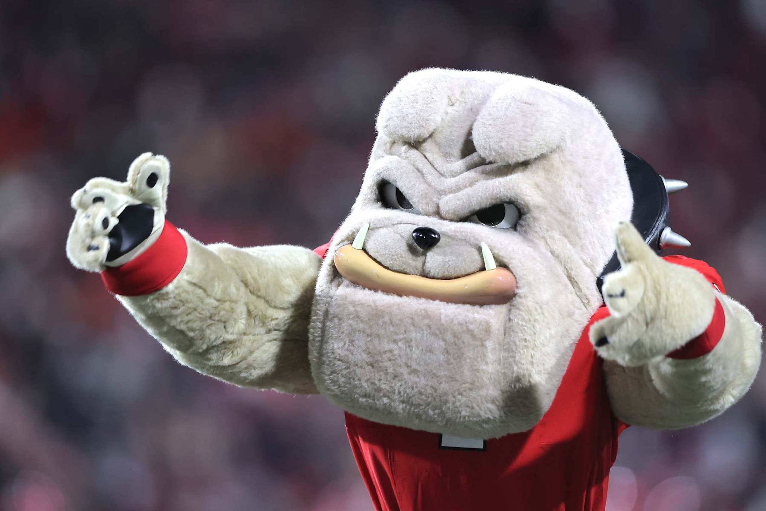 ATHENS, GA - NOVEMBER 29: UGA mascot Hairy Dawg during the Friday evening college football game between the Georgia Bulldogs and the Georgia Tech Yellow Jackets on November 29, 2024 on Dooley Field at Sanford Stadium in Athens, Georgia.  (Photo by David J. Griffin/Icon Sportswire via Getty Images)