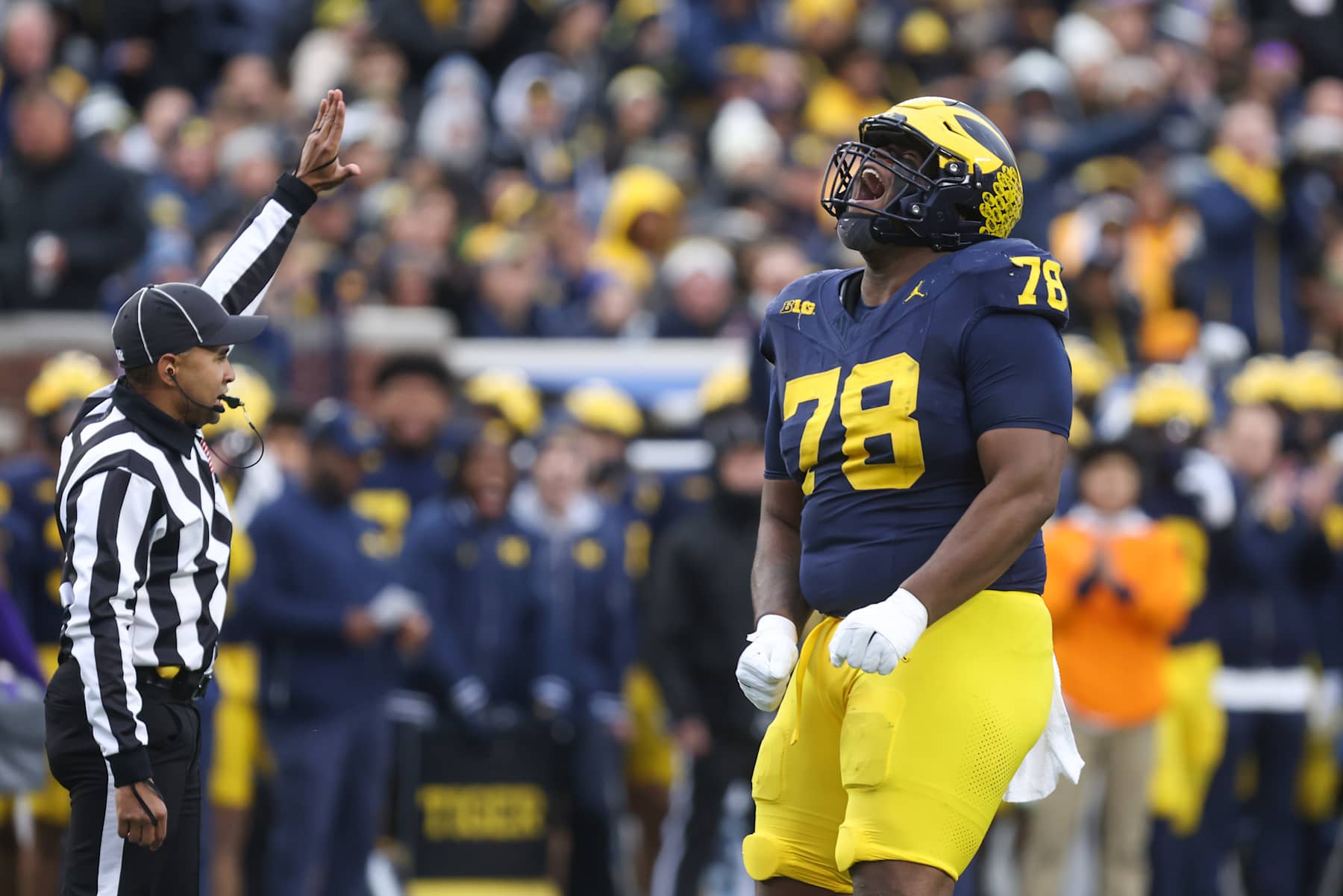 ANN ARBOR, MI - NOVEMBER 23:  Michigan Wolverines defensive lineman Kenneth Grant (78) celebrates after a defensive play during the first quarter of a regular season Big Ten Conference college football game between the Northwestern Wildcats and the Michigan Wolverines on November 23, 2024 at Michigan Stadium in Ann Arbor, Michigan. (Photo by Scott W. Grau/Icon Sportswire via Getty Images)