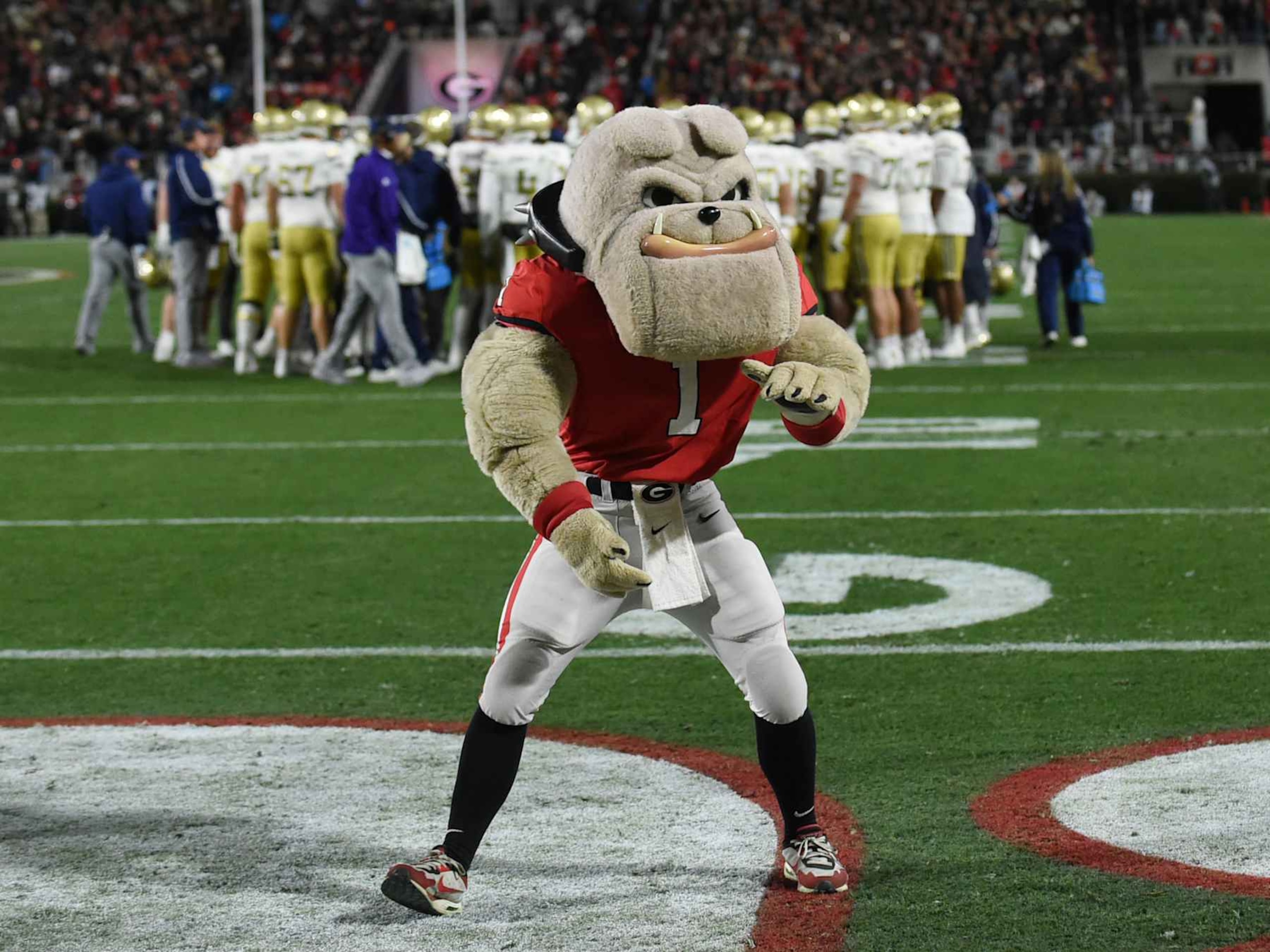 ATHENS, GA - NOVEMBER 29: Georgia Bulldogs mascot Hairy Dawg performs during the college football game between the Georgia Tech Yellow Jackets and the Georgia Bulldogs on November 29, 2024, at Sanford Stadium in Athens, GA. (Photo by Jeffrey Vest/Icon Sportswire via Getty Images)