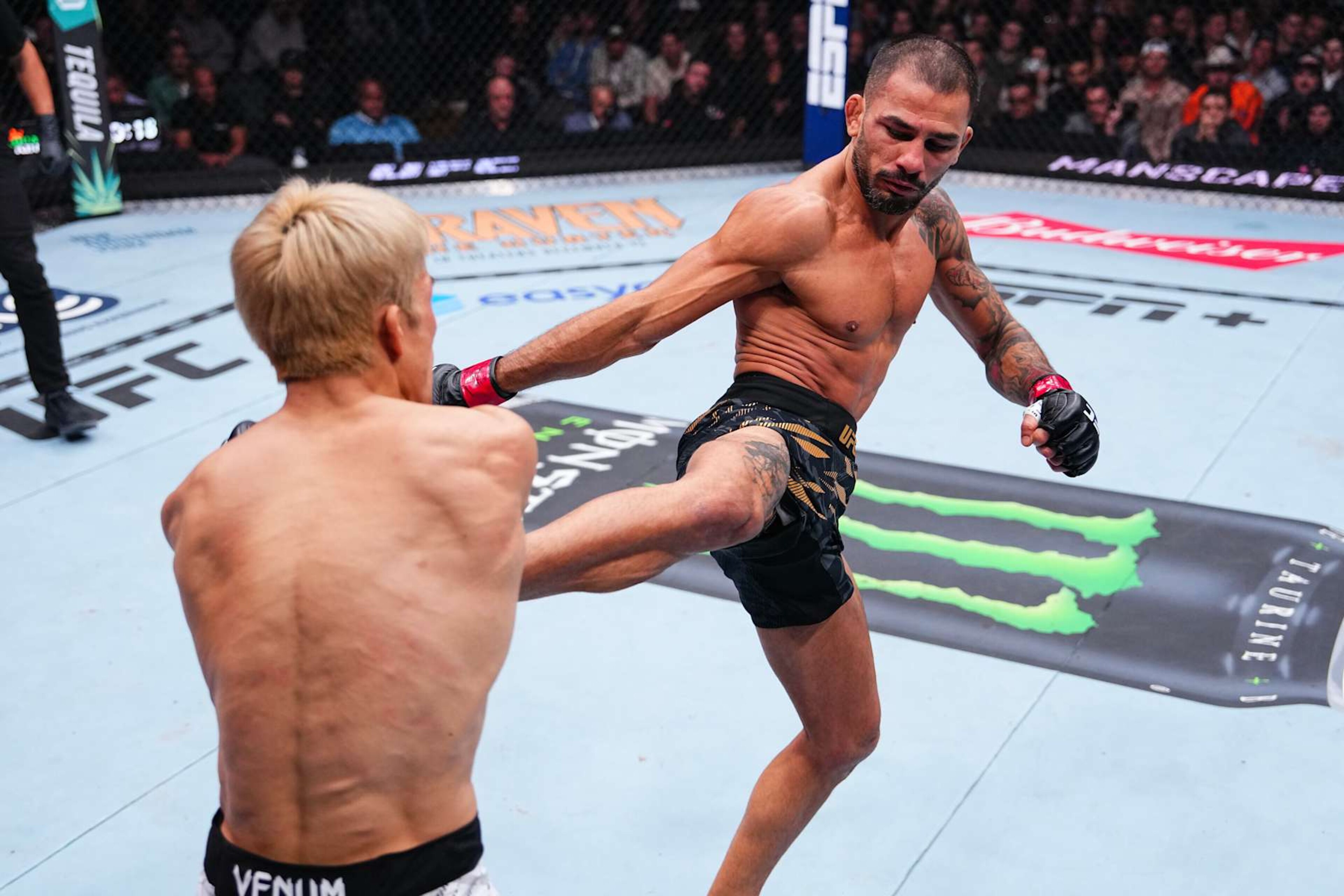 LAS VEGAS, NEVADA - DECEMBER 07: Alexandre Pantoja of Brazil kicks Kai Asakura of Japan in the UFC flyweight championship bout during the UFC 310 event at T-Mobile Arena on December 07, 2024 in Las Vegas, Nevada. (Photo by Jeff Bottari/Zuffa LLC)