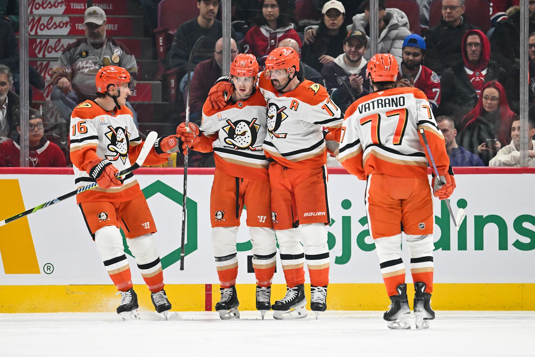MONTREAL, CANADA - DECEMBER 09: Troy Terry #19 of the Anaheim Ducks celebrates his goal with teammates Ryan Strome #16, Frank Vatrano #77 and Alex Killorn #17 during the second period against the Montreal Canadiens at the Bell Centre on December 9, 2024 in Montreal, Quebec, Canada. (Photo by Minas Panagiotakis/Getty Images)