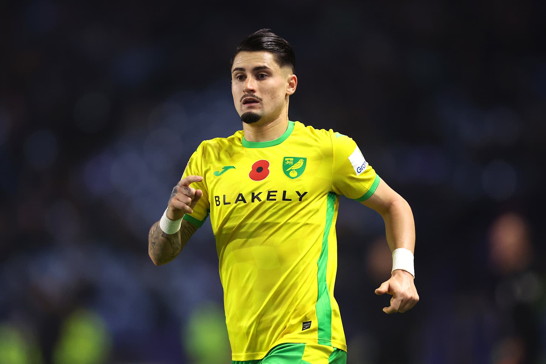SHEFFIELD, ENGLAND - NOVEMBER 05: Borja Sainz of Norwich City looks on during the Sky Bet Championship match between Sheffield Wednesday FC and Norwich City FC at Hillsborough on November 05, 2024 in Sheffield, England. (Photo by George Wood/Getty Images)