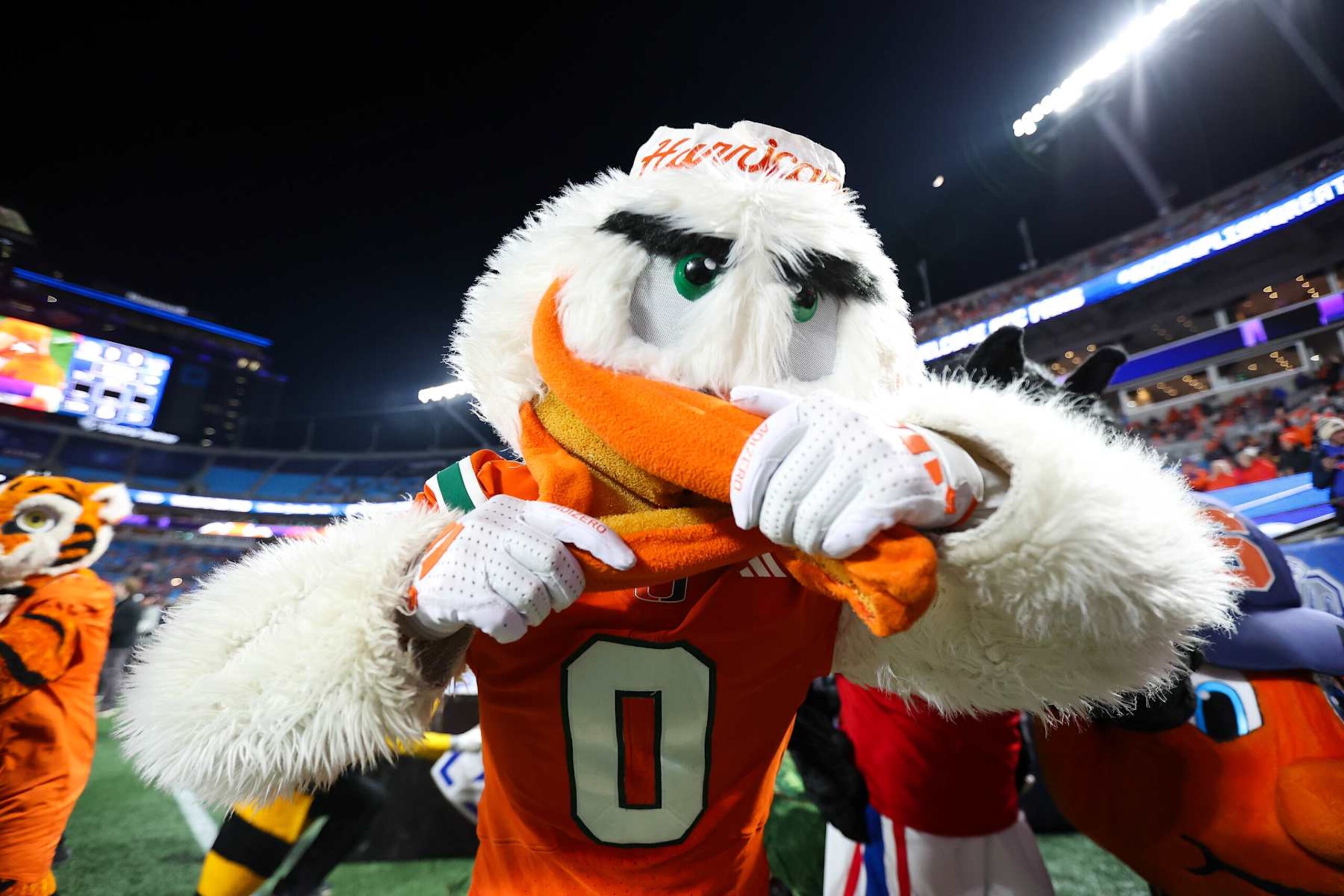 CHARLOTTE, NORTH CAROLINA - DECEMBER 7: Sebastian The Ibis, mascot for the Miami Hurricanes, performs during the ACC Championship between the SMU Mustangs and the Clemson Tigers at Bank of America Stadium on December 7, 2024 in Charlotte, North Carolina. (Photo by Isaiah Vazquez/Getty Images)
