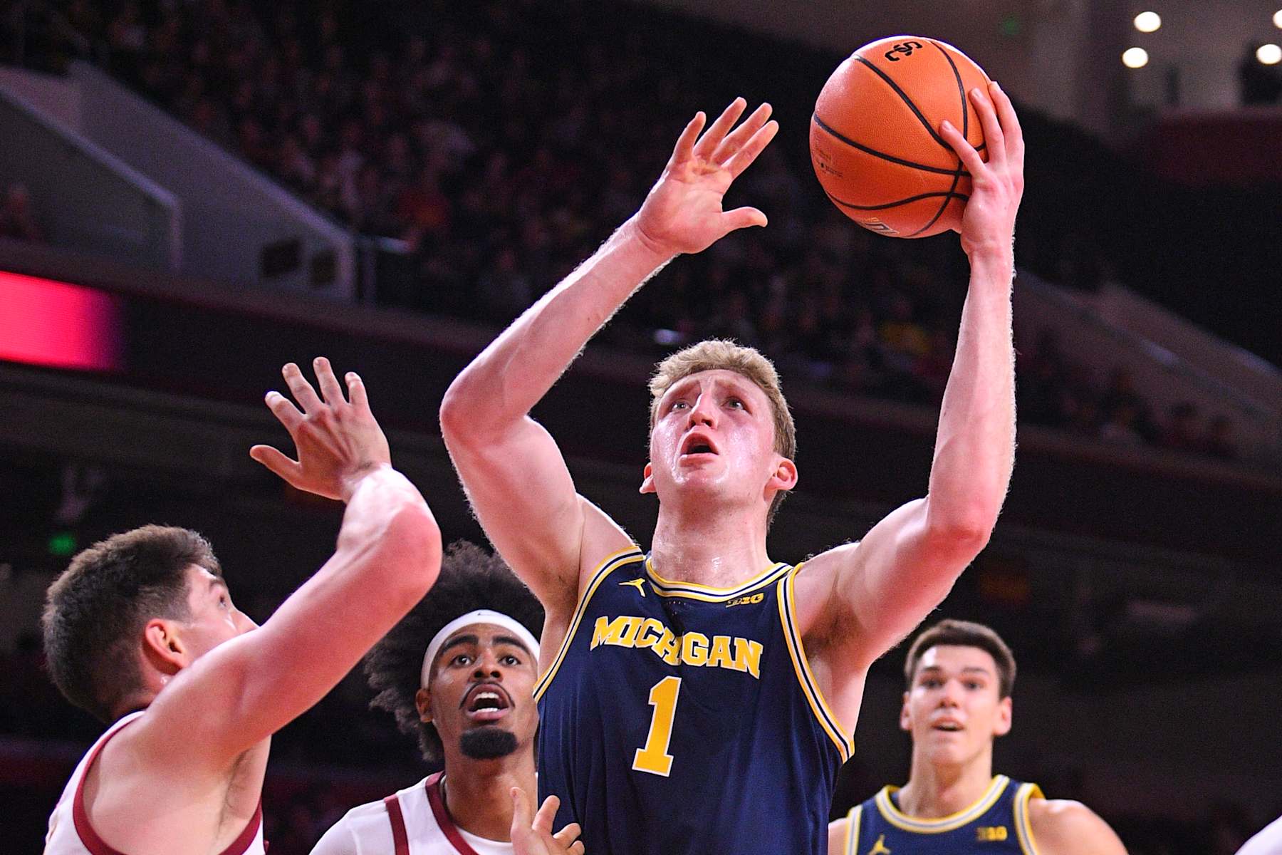 Michigan's Danny Wolf