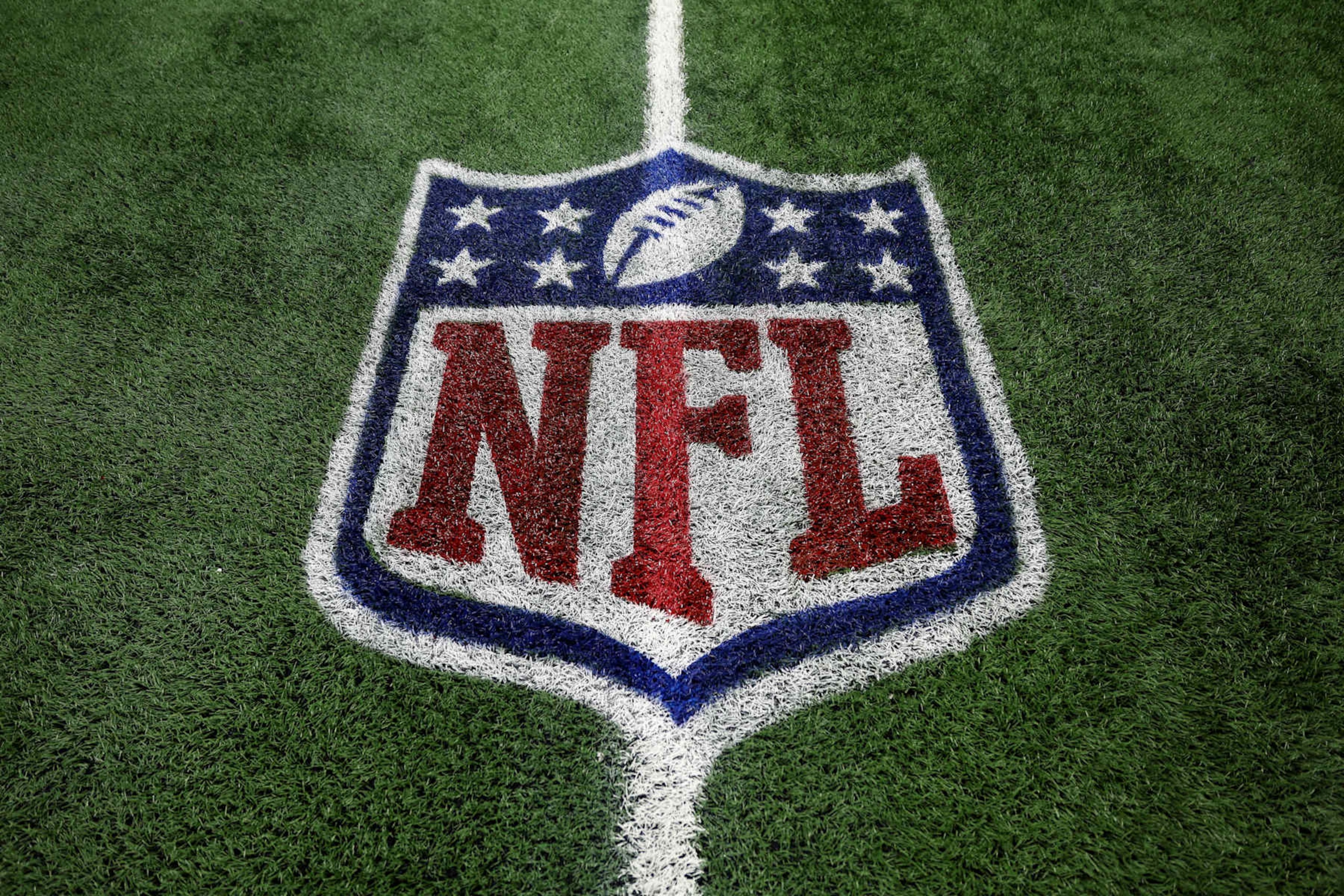 DETROIT, MICHIGAN - JANUARY 5: A detail shot of an NFL shield logo painted on the field prior to an NFL football game between the Detroit Lions and the Minnesota Vikings at Ford Field on January 5, 2025 in Detroit, Michigan. (Photo by Kevin Sabitus/Getty Images)
