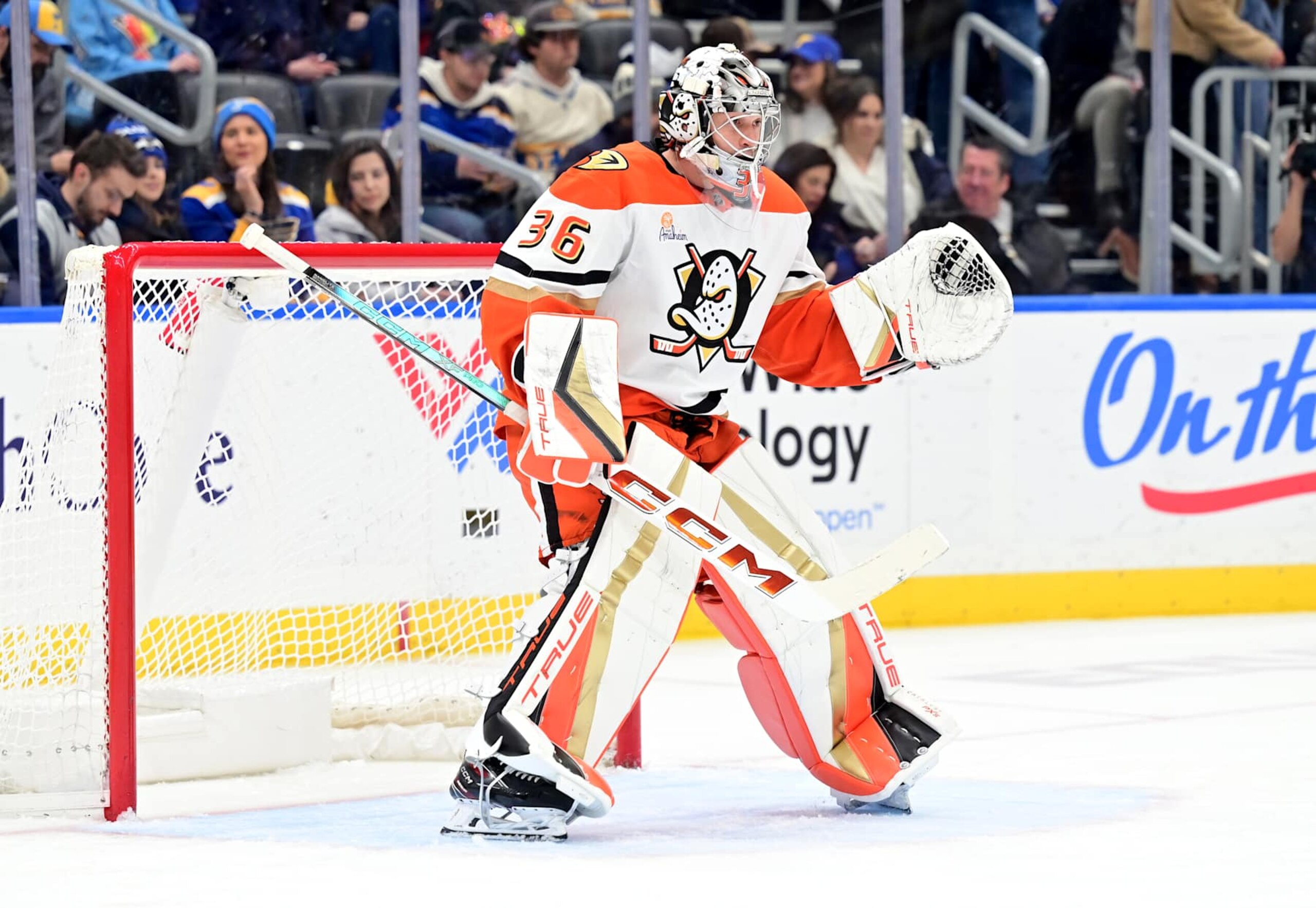 ST. LOUIS, MO - JANUARY 09: Anaheim Ducks goaltender John Gibson (36) as seen after replacing Anaheim Ducks goaltender Lukas Dostal (1) during a NHL game between the Anaheim Ducks and the St. Louis Blues, on January 09, 2025, at Enterprise Center, St. Louis, MO. (Photo by Keith Gillett/IconSportswire) ST. LOUIS, MO - JANUARY 09: Anaheim Ducks goaltender John Gibson (36) as seen after replacing Anaheim Ducks goaltender Lukas Dostal (1) during a NHL game between the Anaheim Ducks and the St. Louis Blues, on January 09, 2025, at Enterprise Center, St. Louis, MO. (Photo by Keith Gillett/IconSportswire)