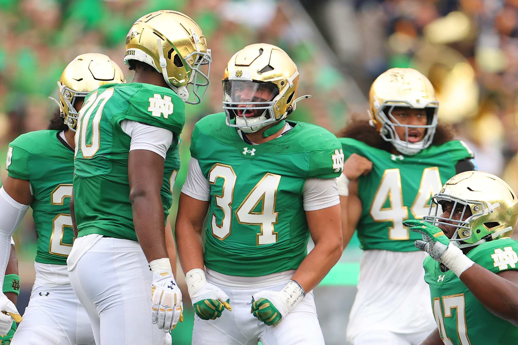 SOUTH BEND, INDIANA - SEPTEMBER 28: Drayk Bowen #34 of the Notre Dame Fighting Irish celebrates against the Louisville Cardinals during the first half at Notre Dame Stadium on September 28, 2024 in South Bend, Indiana. (Photo by Michael Reaves/Getty Images)