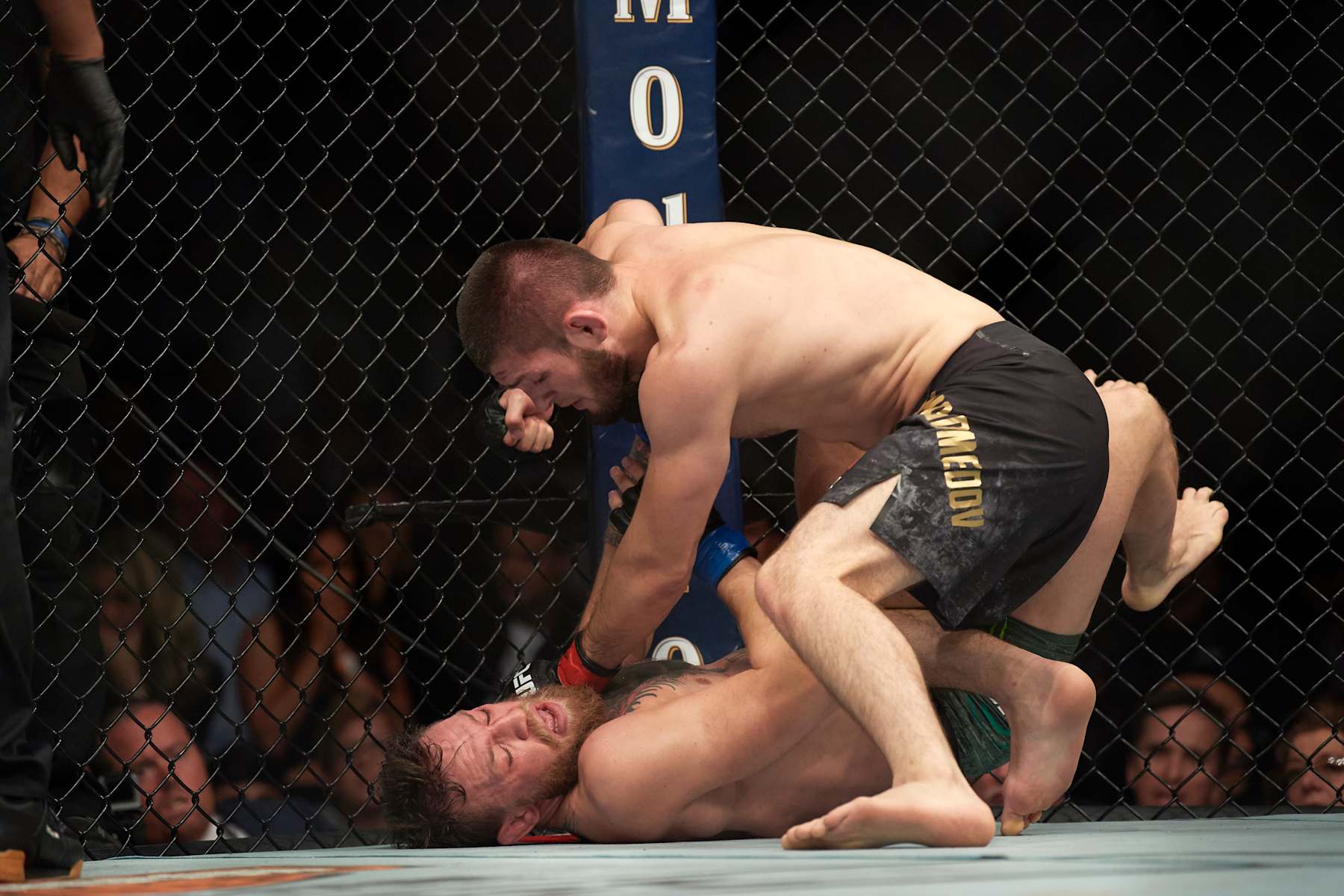 Khabib Nurmagomedov punches Conor McGregor from top position