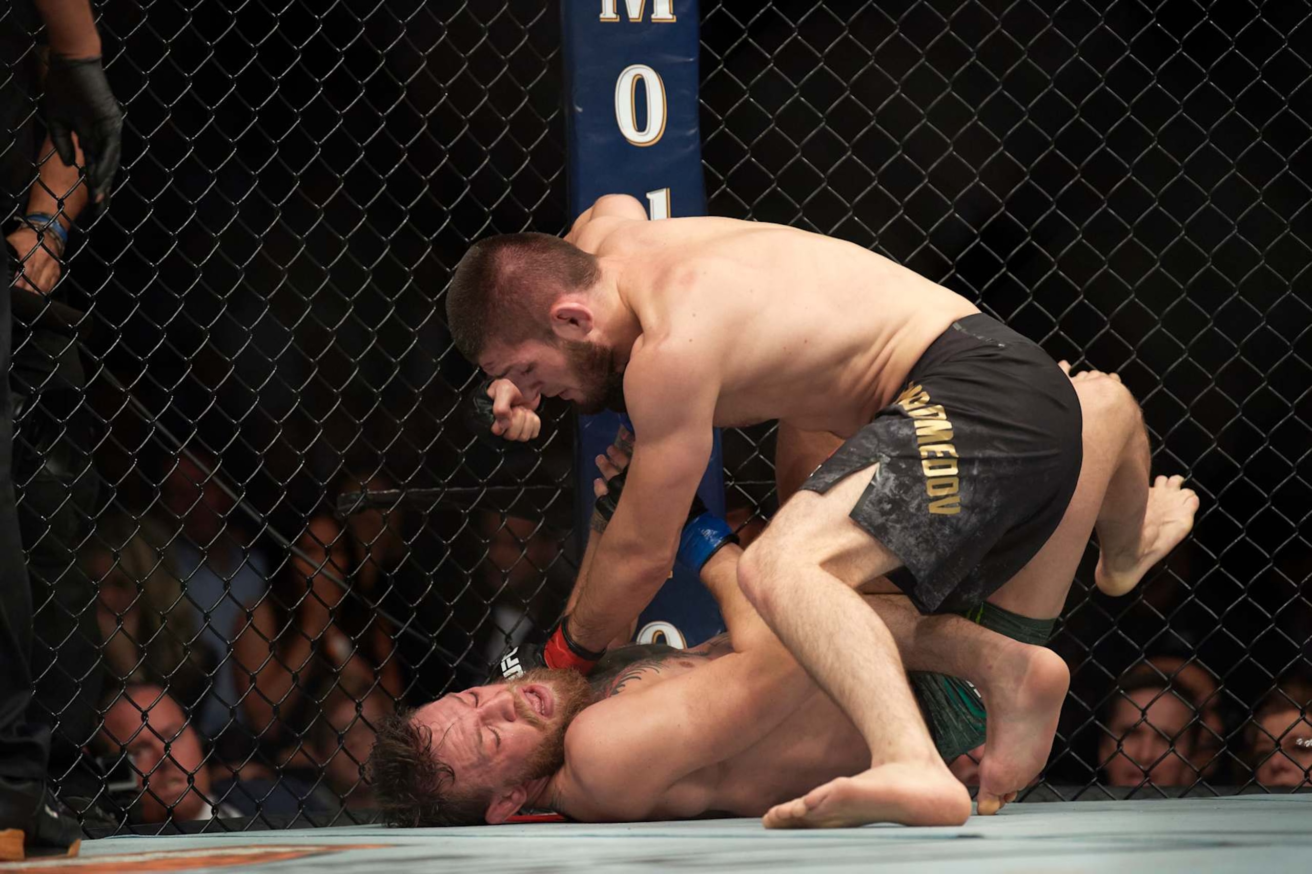 Khabib Nurmagomedov punches Conor McGregor from top position Khabib Nurmagomedov punches Conor McGregor from top position