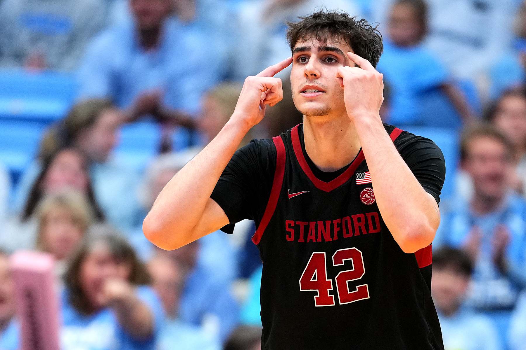 Stanford's Maxime Raynaud