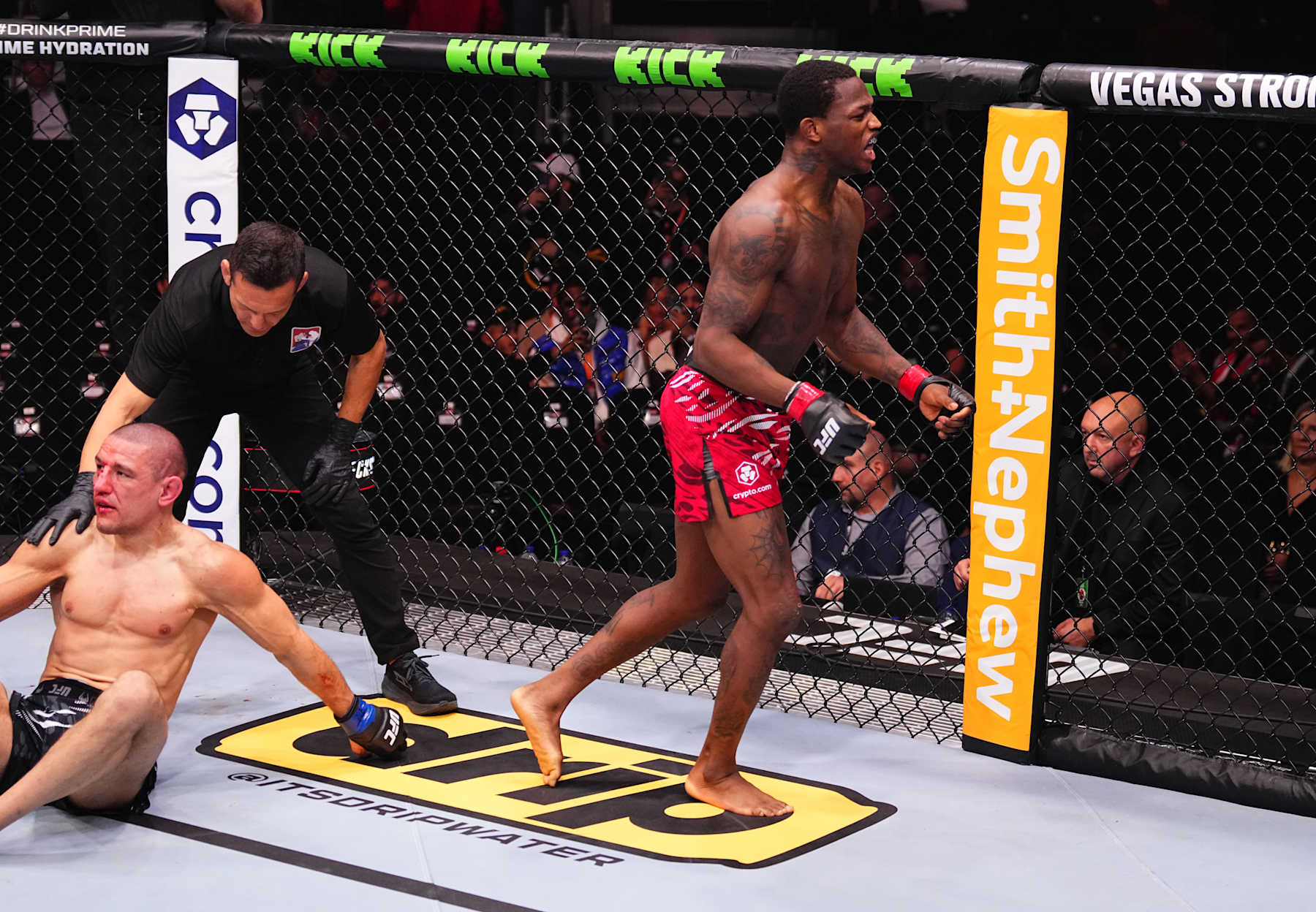 Terrance McKinney reacts after a victory against Damir Hadzovic