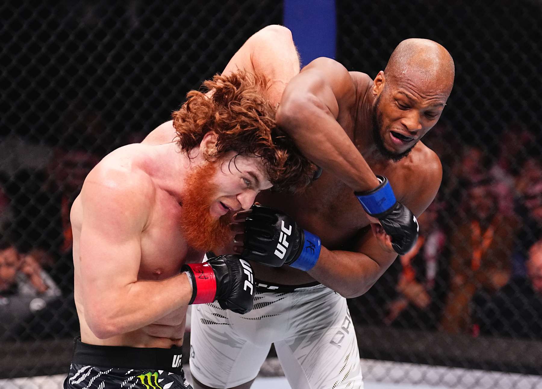 Michael Page elbows Shara Magomedov 