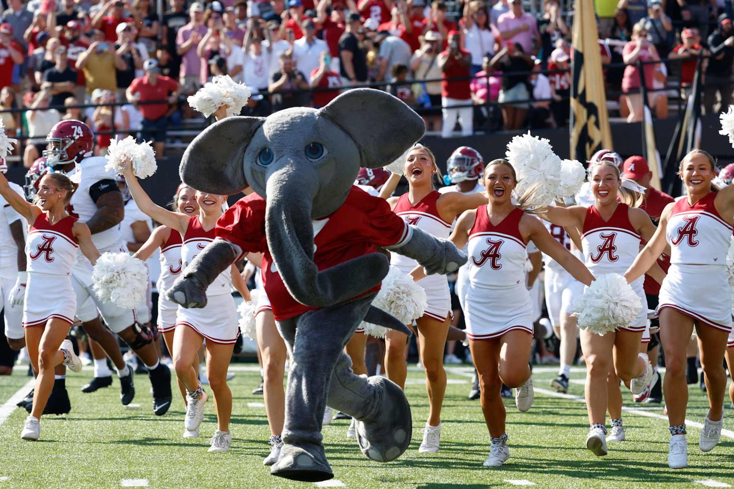 NASHVILLE, TN - OCTOBER 05: Alabama Crimson Tide mascot Big Al and cheerleaders during a game between the Vanderbilt Commodores and Alabama Crimson Tide, October 5, 2024 at FirstBank Stadium in Nashville, Tennessee. (Photo by Matthew Maxey/Icon Sportswire via Getty Images)