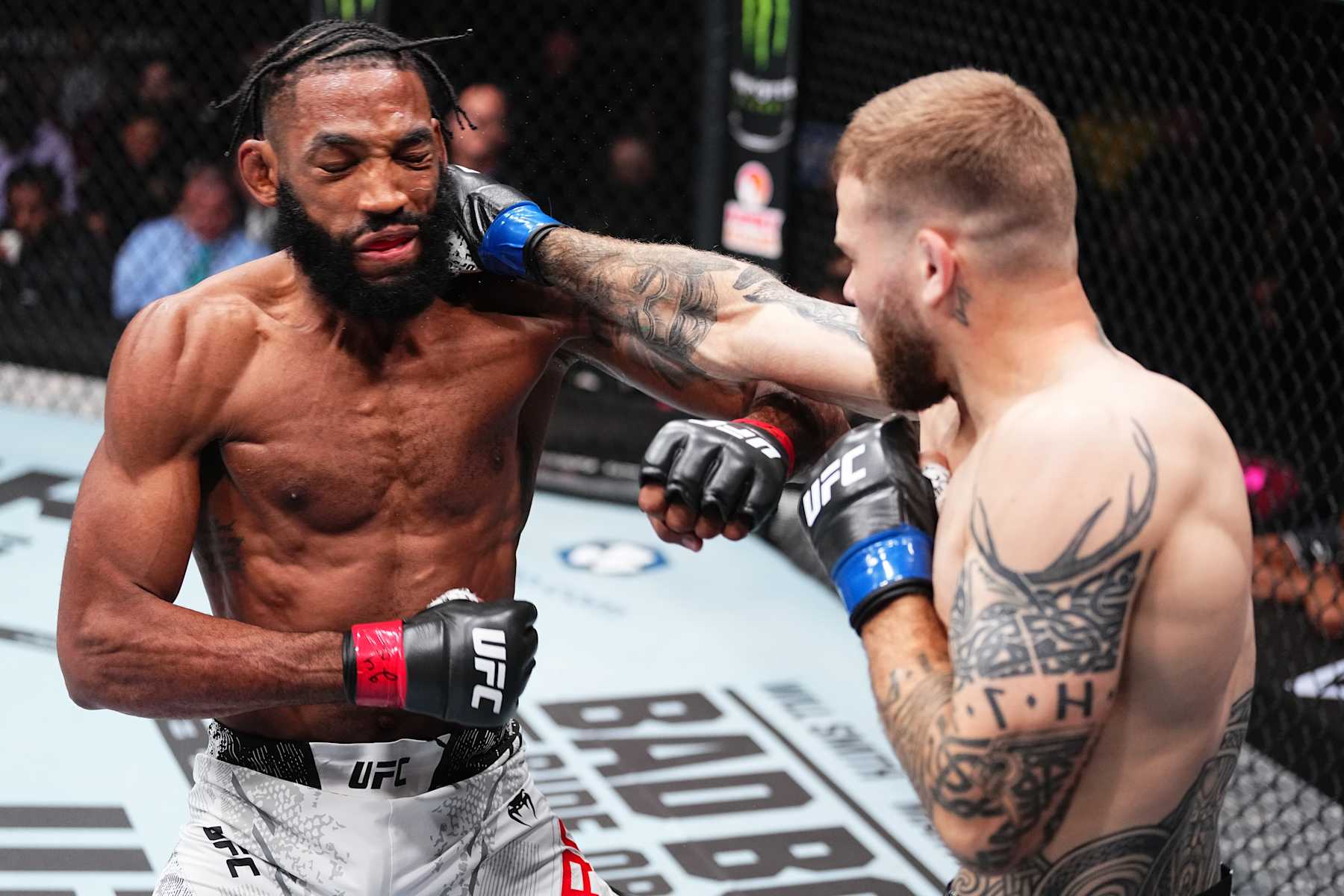 Jake Matthews punches Phil Rowe.