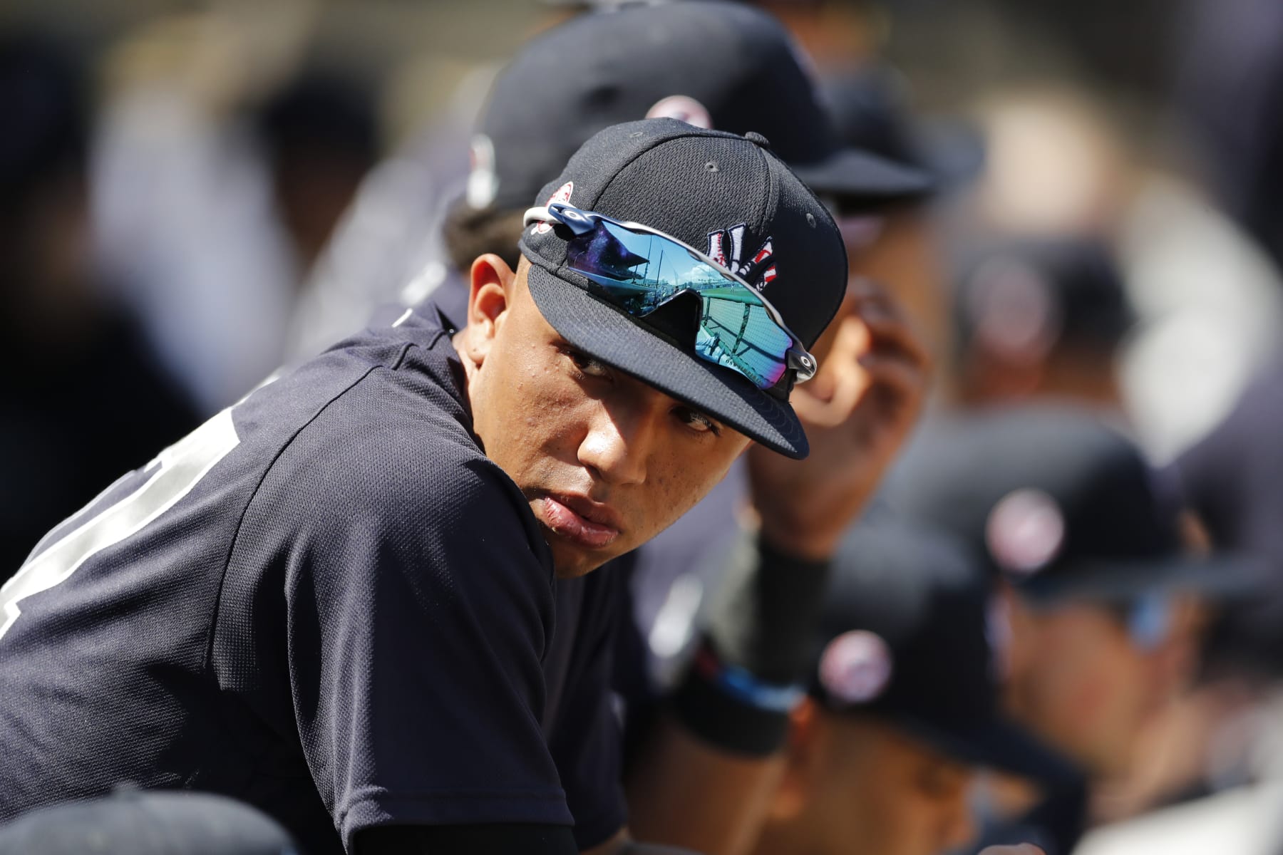 New York Yankees' Oswald Peraza sits in the dugout during a spring training baseball game, Monday, March 9, 2020, in Clearwater, Fla. (AP Photo/Carlos Osorio)