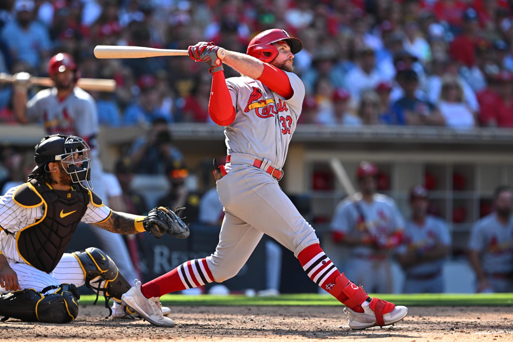 Baseball: St. Louis Cardinals Brendan Donovan (33) in action,  batting vs San Diego Padres at Petco Park. 
San Diego, CA 9/22/2022 
CREDIT: John W. McDonough (Photo by John W. McDonough/Sports Illustrated via Getty Images) 
(Set Number: X164176 TK1)