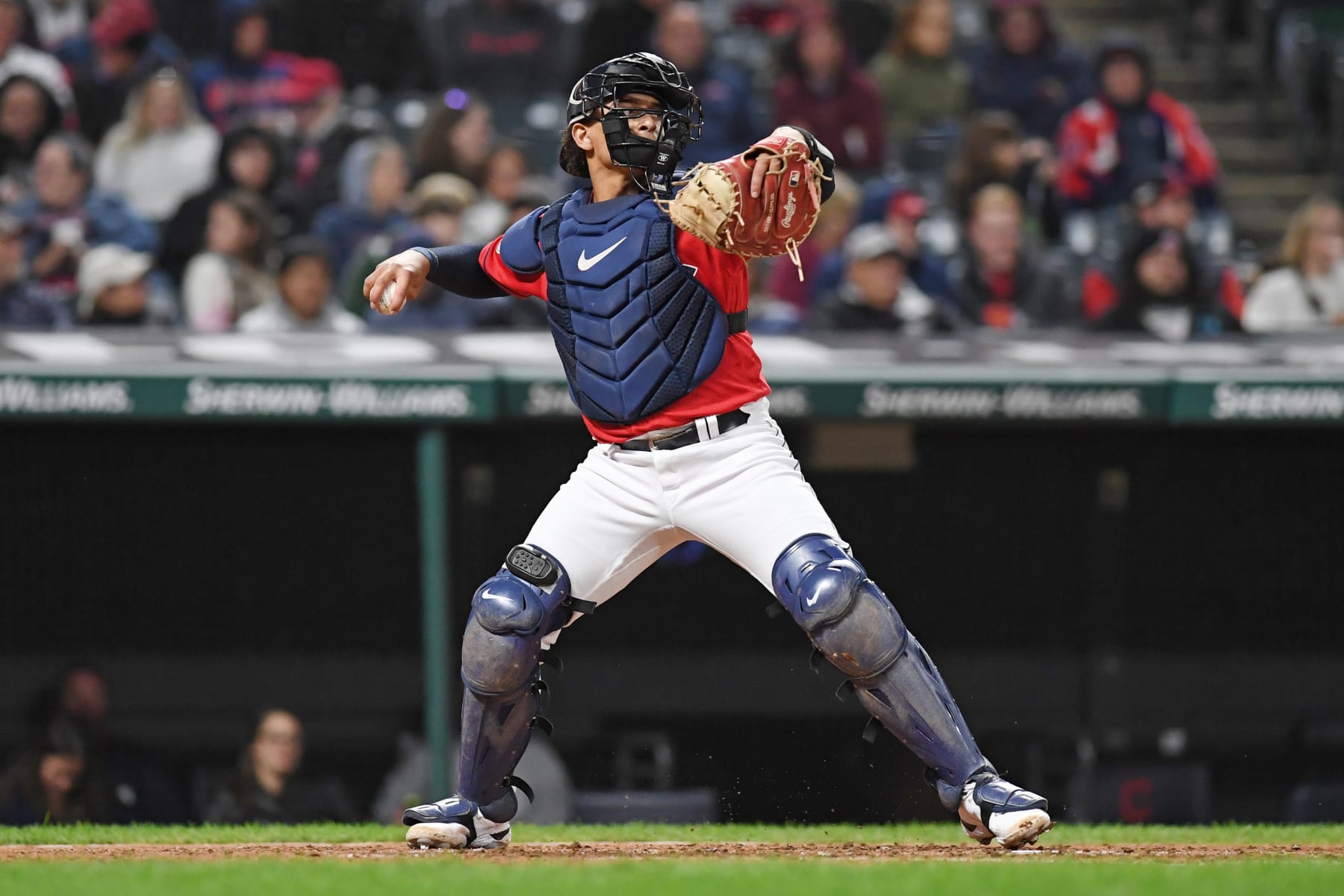 Austin Hedges