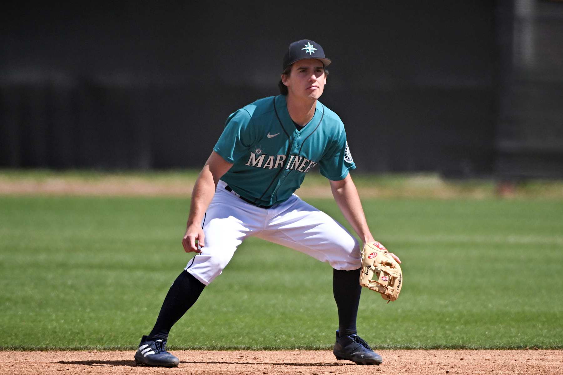 PEORIA, ARIZONA - MARCH 23, 2023: Cole Young #7 of the Seattle Mariners in the field during a minor league spring training game against the San Diego Padres at the Peoria Sports Complex on March 23, 2023 in Peoria, Arizona. (Photo by Chris Bernacchi/Diamond Images via Getty Images)