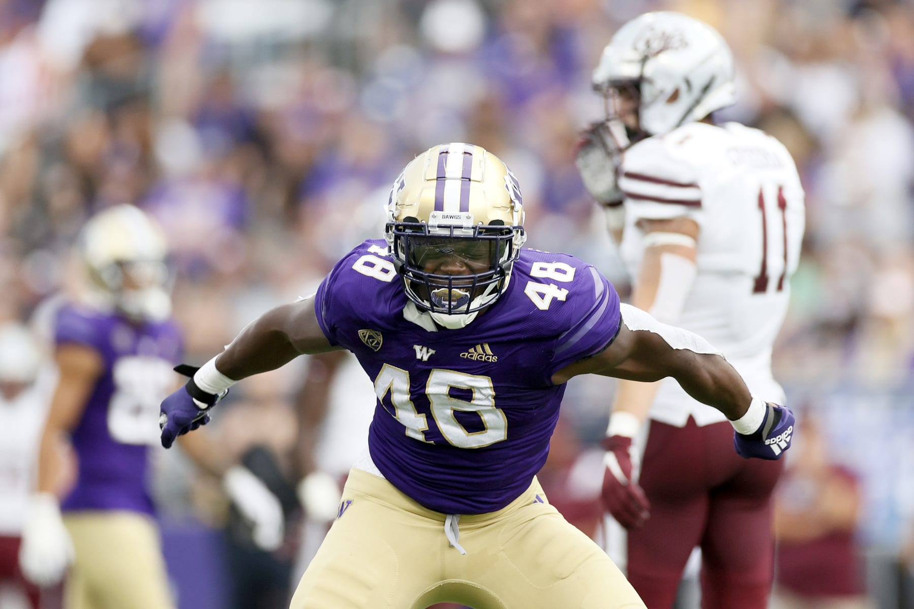 SEATTLE, WASHINGTON - SEPTEMBER 04: Edefuan Ulofoshio #48 of the Washington Huskies reacts during the third quarter against the Montana Grizzlies at Husky Stadium on September 04, 2021 in Seattle, Washington. (Photo by Steph Chambers/Getty Images)