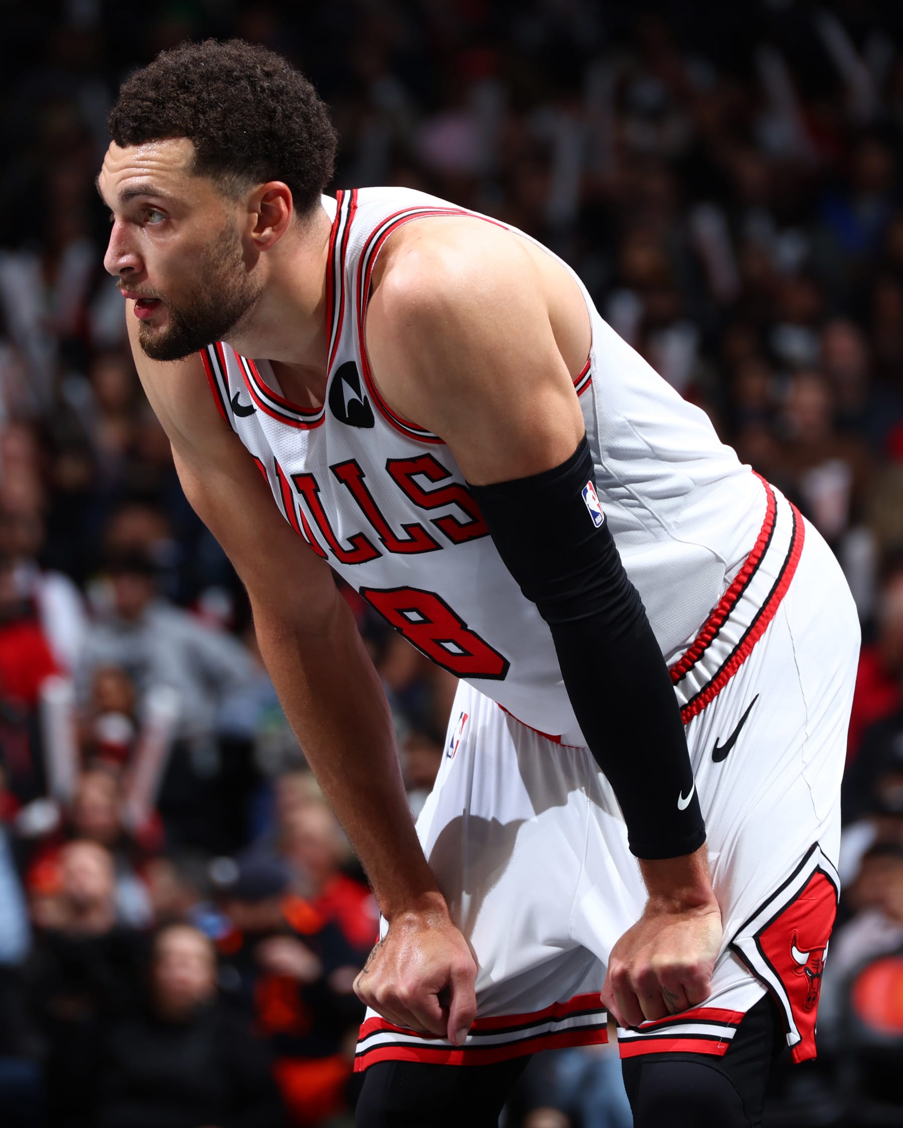 TORONTO, CANADA - NOVEMBER 24:  Zach LaVine #8 of the Chicago Bulls looks on during the game during the In-Season Tournament on November 24, 2023 at the Scotiabank Arena in Toronto, Ontario, Canada.  NOTE TO USER: User expressly acknowledges and agrees that, by downloading and or using this Photograph, user is consenting to the terms and conditions of the Getty Images License Agreement.  Mandatory Copyright Notice: Copyright 2023 NBAE (Photo by Vaughn Ridley/NBAE via Getty Images)