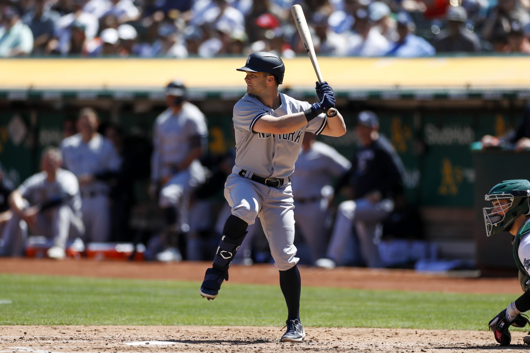 OAKLAND, CA - AUGUST 28: New York Yankees left fielder Andrew Benintendi (18) waits for the pitch during a game between the New York Yankees and Oakland Athletics on August 28, 2022, at RingCentral Coliseum in Oakland, CA. (Photo by Brandon Sloter/Icon Sportswire via Getty Images) OAKLAND, CA - AUGUST 28: New York Yankees left fielder Andrew Benintendi (18) waits for the pitch during a game between the New York Yankees and Oakland Athletics on August 28, 2022, at RingCentral Coliseum in Oakland, CA. (Photo by Brandon Sloter/Icon Sportswire via Getty Images)