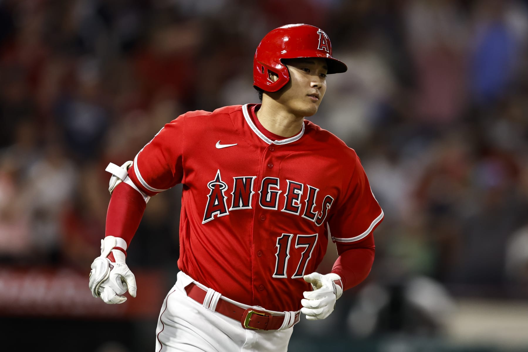 ANAHEIM, CALIFORNIA - AUGUST 29: Shohei Ohtani #17 of the Los Angeles Angels looks on as he rounds the bases after hitting a two-run home run during the fifth inning of a game between the Los Angeles Angels and the New York Yankees at Angel Stadium of Anaheim on August 29, 2022 in Anaheim, California. (Photo by Michael Owens/Getty Images)