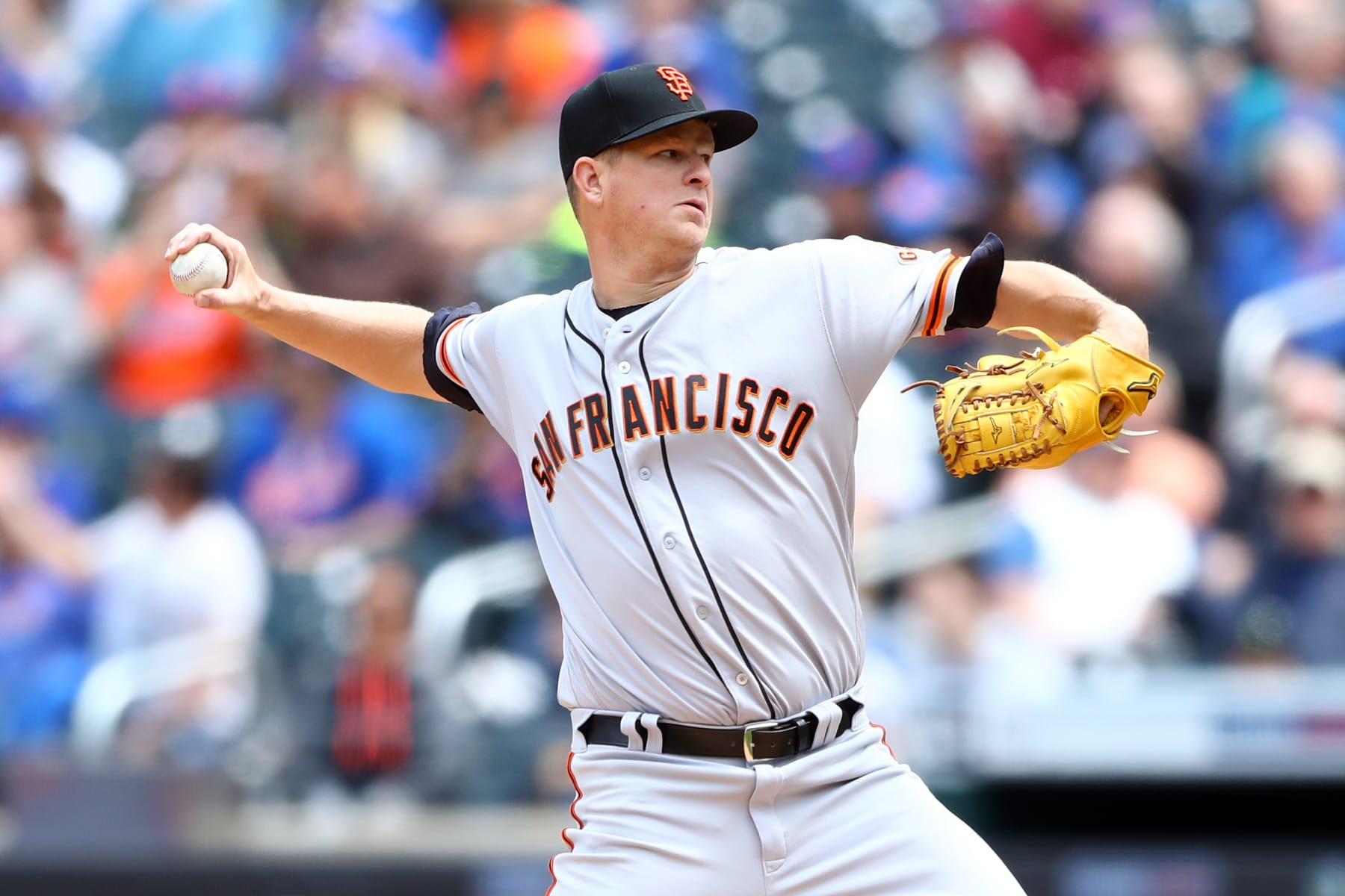 Matt Cain