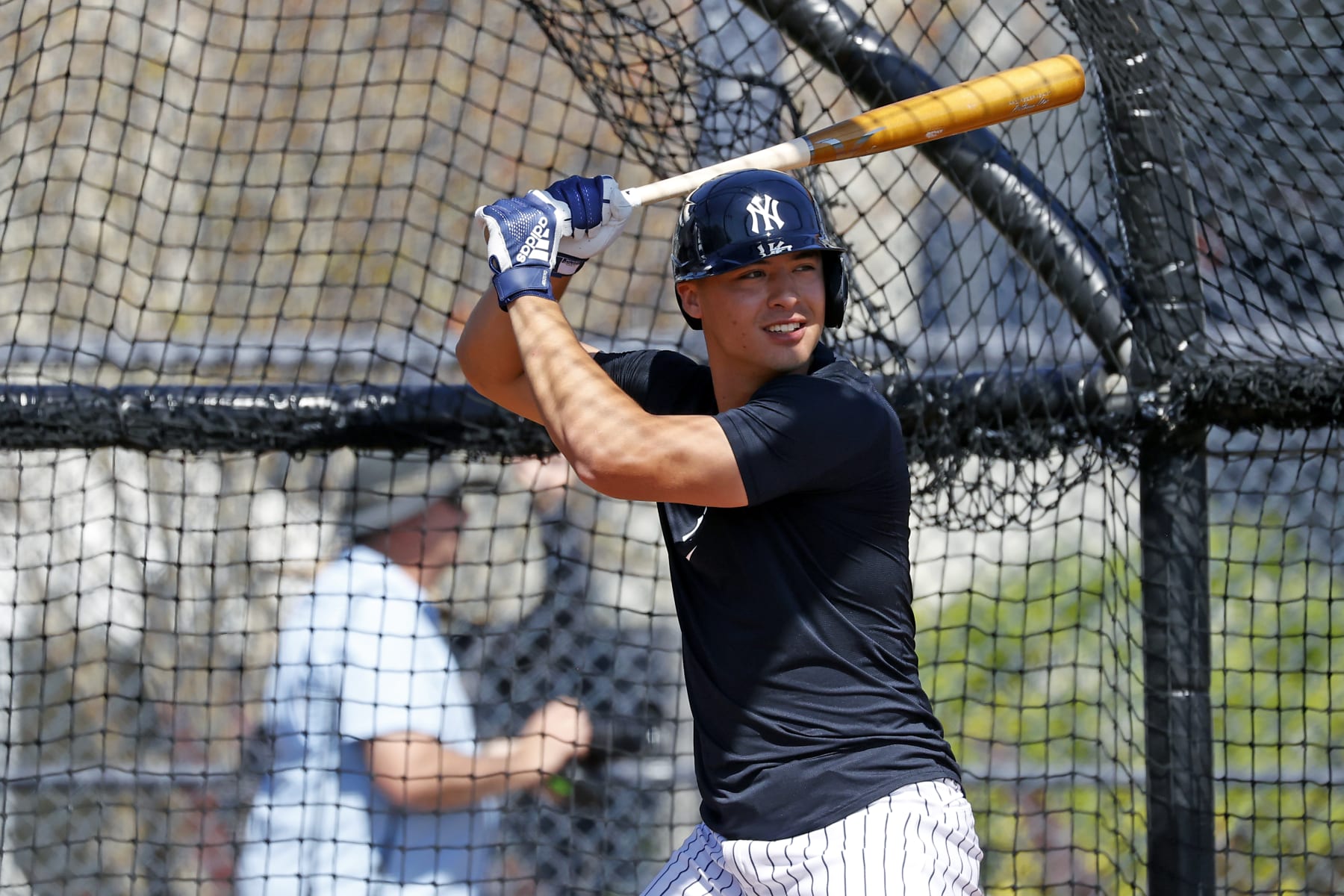 TAMPA, FL - FEBRUARY 20: Anthony Volpe #77 of the New York Yankees takes batting practice during Spring Training at George M. Steinbrenner Field on February 20, 2023 in Tampa, Florida. (Photo by New York Yankees/Getty Images)