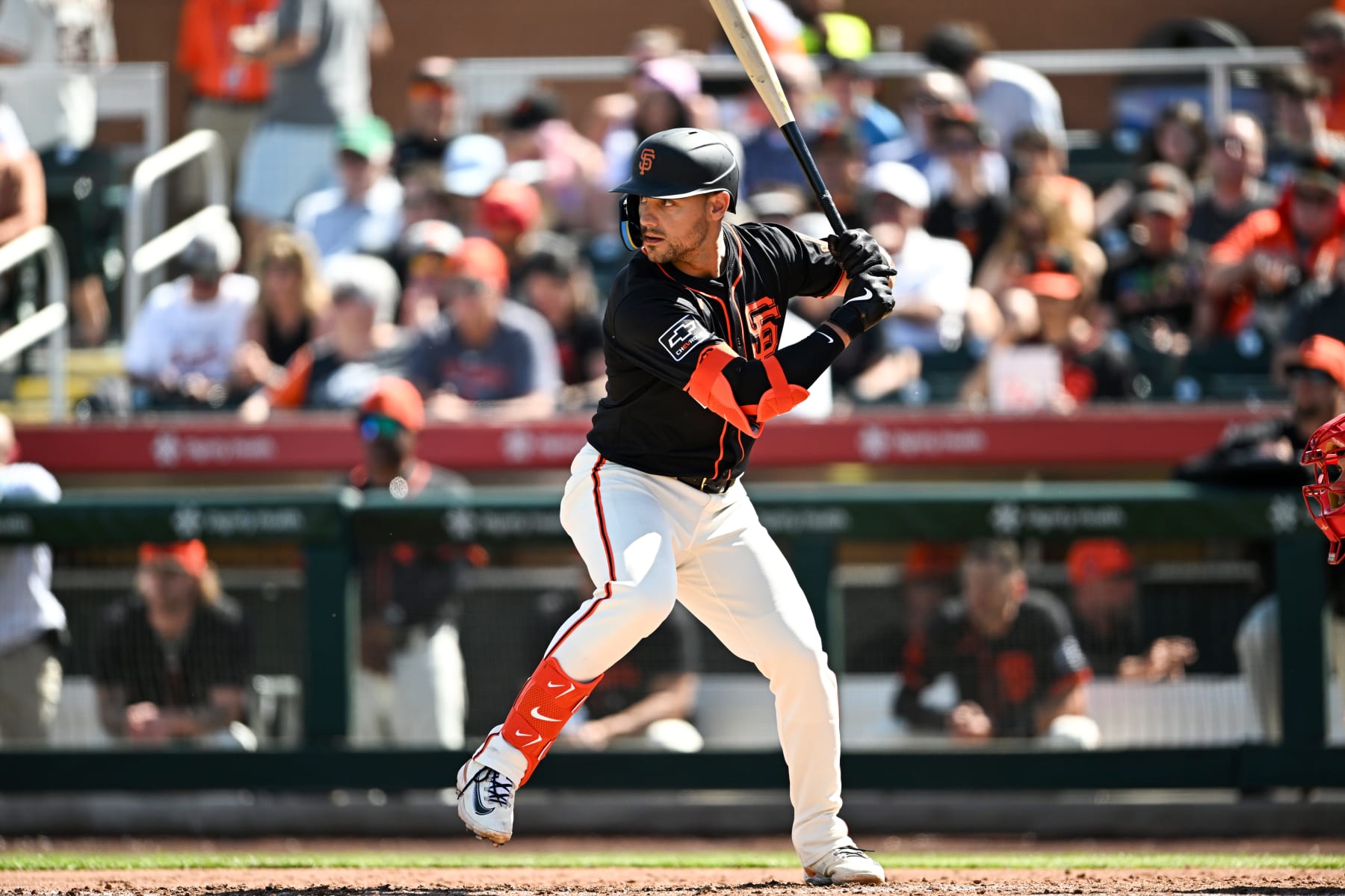 SCOTTSDALE, ARIZONA - MARCH 13, 2024: Michael Conforto #8 of the San Francisco Giants bats during the second inning of a spring training game against the Cincinnati Reds at Scottsdale Stadium on March 13, 2024 in Scottsdale, Arizona. (Photo by Chris Bernacchi/Diamond Images via Getty Images) SCOTTSDALE, ARIZONA - MARCH 13, 2024: Michael Conforto #8 of the San Francisco Giants bats during the second inning of a spring training game against the Cincinnati Reds at Scottsdale Stadium on March 13, 2024 in Scottsdale, Arizona. (Photo by Chris Bernacchi/Diamond Images via Getty Images)