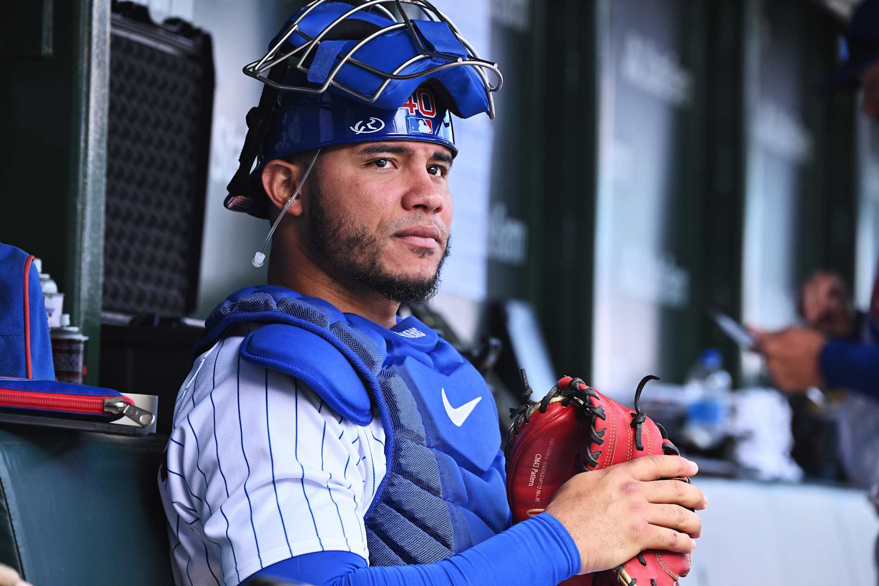 CHICAGO, IL - OCTOBER 2:  Willson Contreras #40 of the Chicago Cubs prepares to play against the Cincinnati Reds at Wrigley Field on October 2, 2022 in Chicago, Illinois.  (Photo by Jamie Sabau/Getty Images)