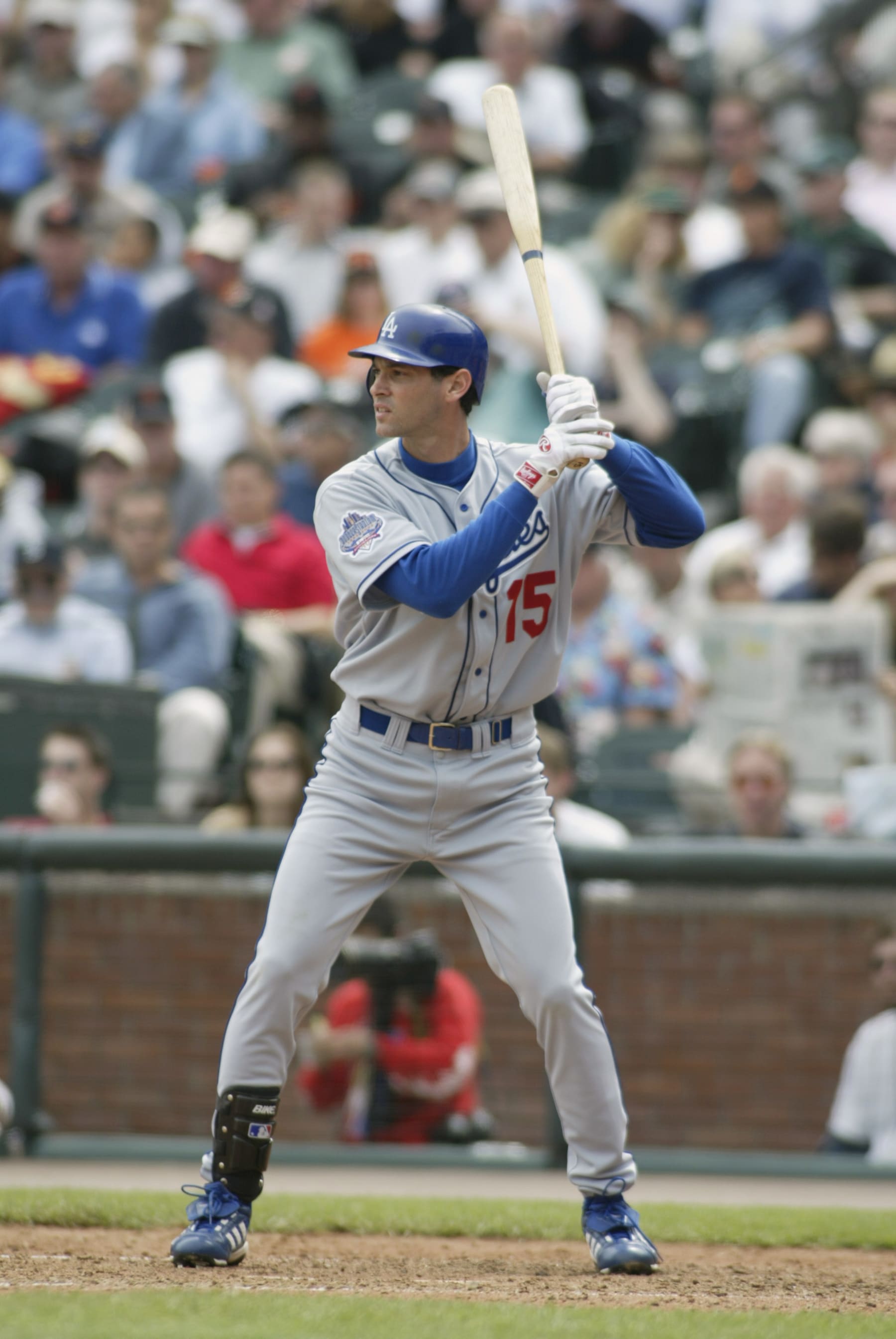 Shawn Green
