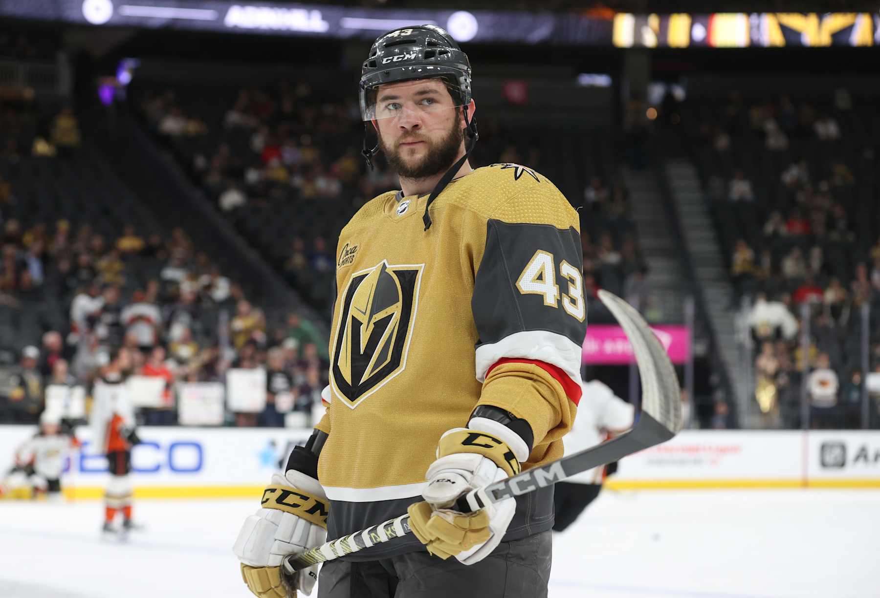 LAS VEGAS, NEVADA - APRIL 18: Paul Cotter #43 of the Vegas Golden Knights warms up prior to a game against the Anaheim Ducks at T-Mobile Arena on April 18, 2024 in Las Vegas, Nevada. (Photo by Zak Krill/NHLI via Getty Images)