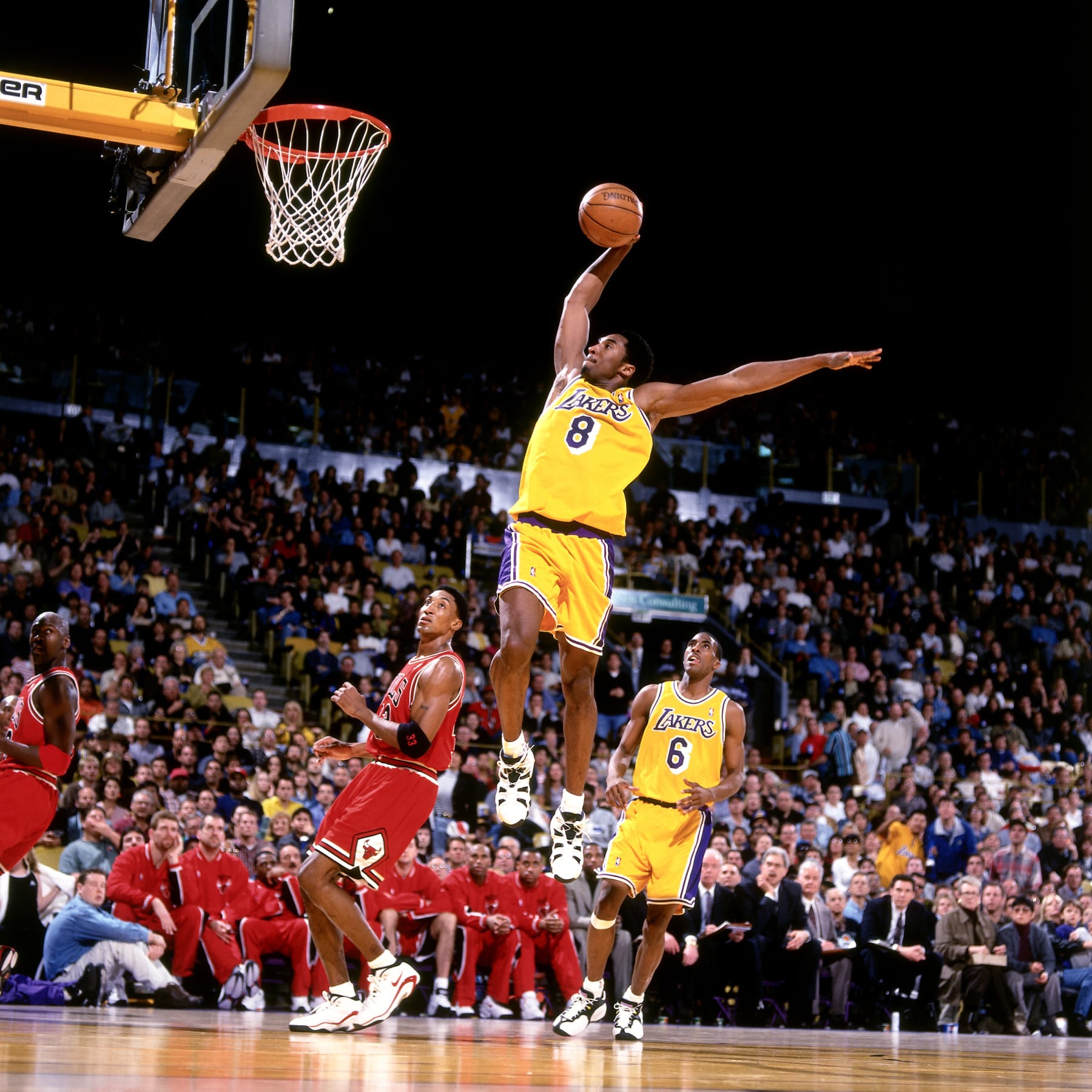 INGLEWOOD, CA - FEBRUARY 1: Kobe Bryant #8 of the Los Angeles Lakers dunks against Scottie Pippen #33 of the Chicago Bulls on February 1, 1998 at The Forum in Inglewood, California. NOTE TO USER: User expressly acknowledges and agrees that, by downloading and/or using this Photograph, user is consenting to the terms and conditions of the Getty Images License Agreement. Mandatory Copyright Notice: Copyright 1998 NBAE (Photo by Andrew D. Bernstein/NBAE via Getty Images)