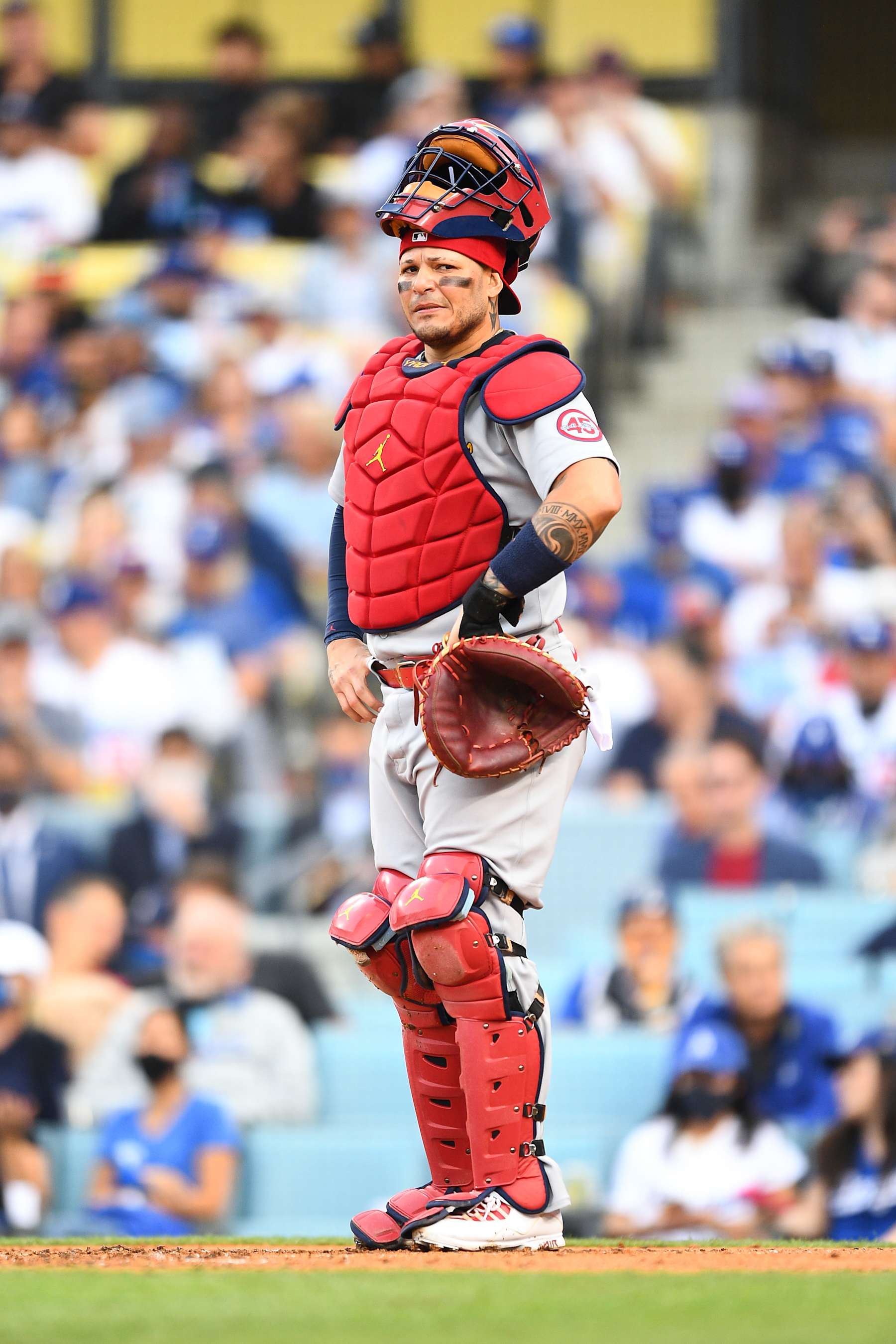 LOS ANGELES, CA - OCTOBER 06: St. Louis Cardinals catcher Yadier Molina (4) looks on during the MLB National League Wild Card game between the St. Louis Cardinals and the Los Angeles Dodgers on October 6, 2021 at Dodger Stadium in Los Angeles, CA. (Photo by Brian Rothmuller/Icon Sportswire via Getty Images)