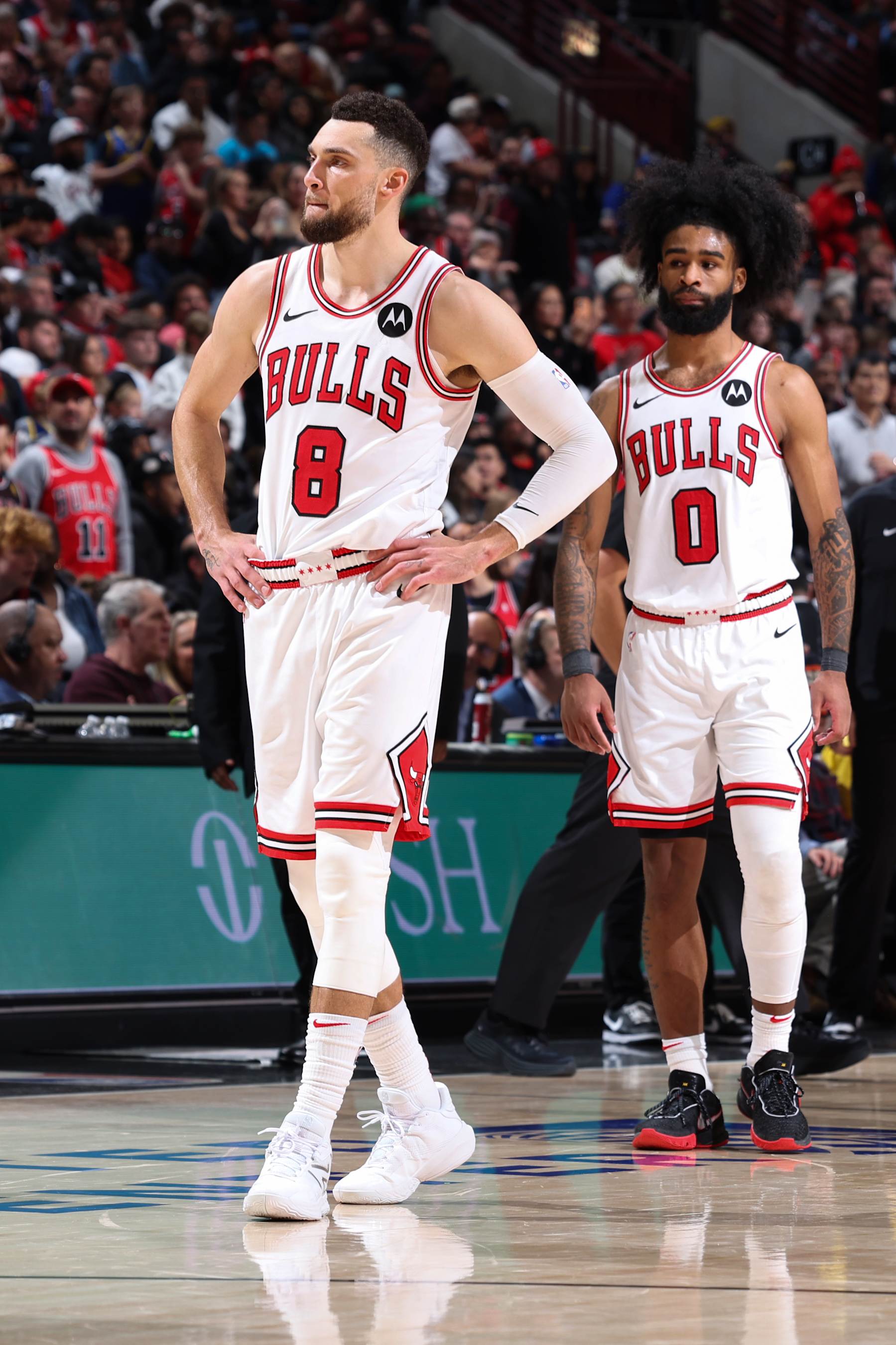 CHICAGO, IL - JANUARY 12: Zach LaVine #8 of the Chicago Bulls looks on during the game against the Golden State Warriors on January 12, 2024 at United Center in Chicago, Illinois. NOTE TO USER: User expressly acknowledges and agrees that, by downloading and or using this photograph, User is consenting to the terms and conditions of the Getty Images License Agreement. Mandatory Copyright Notice: Copyright 2024 NBAE (Photo by Jeff Haynes/NBAE via Getty Images)