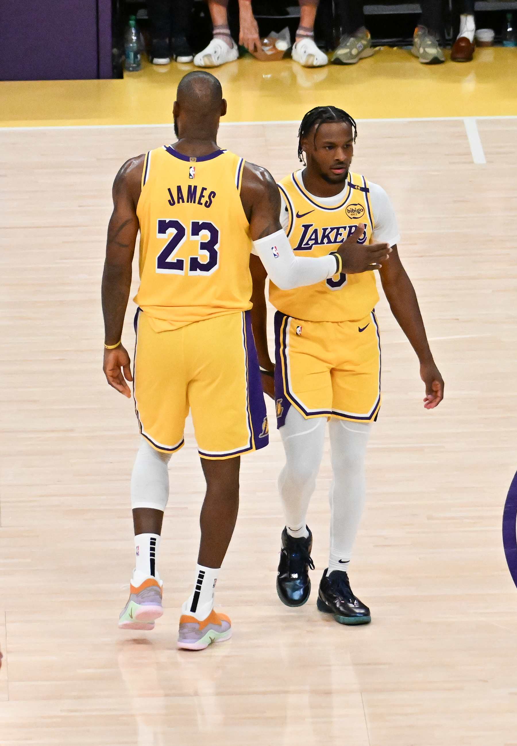 LeBron James and Bronny James