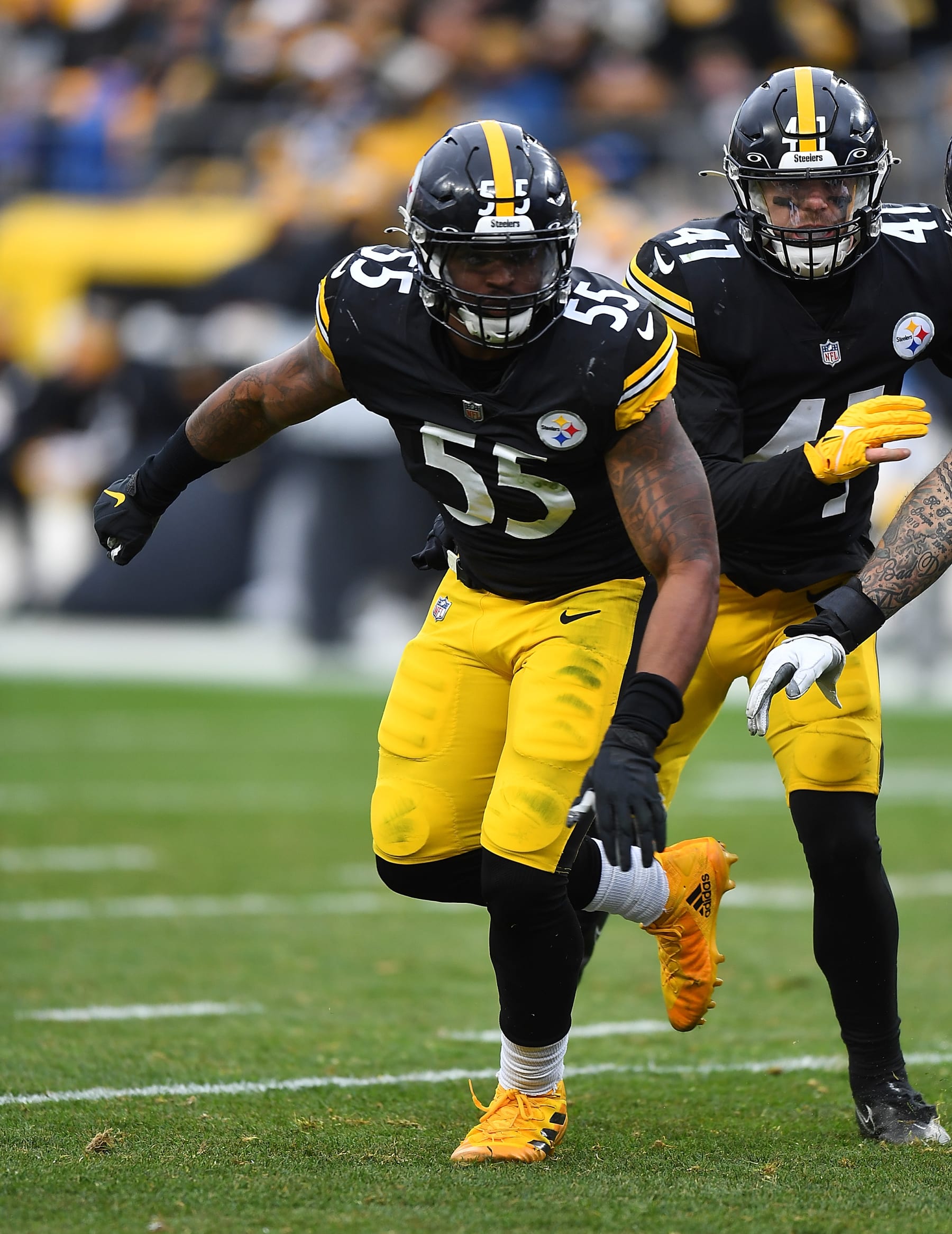 PITTSBURGH, PA - DECEMBER 19:  Devin Bush #55 of the Pittsburgh Steelers in action during the game against the Tennessee Titans at Heinz Field on December 19, 2021 in Pittsburgh, Pennsylvania. (Photo by Joe Sargent/Getty Images)