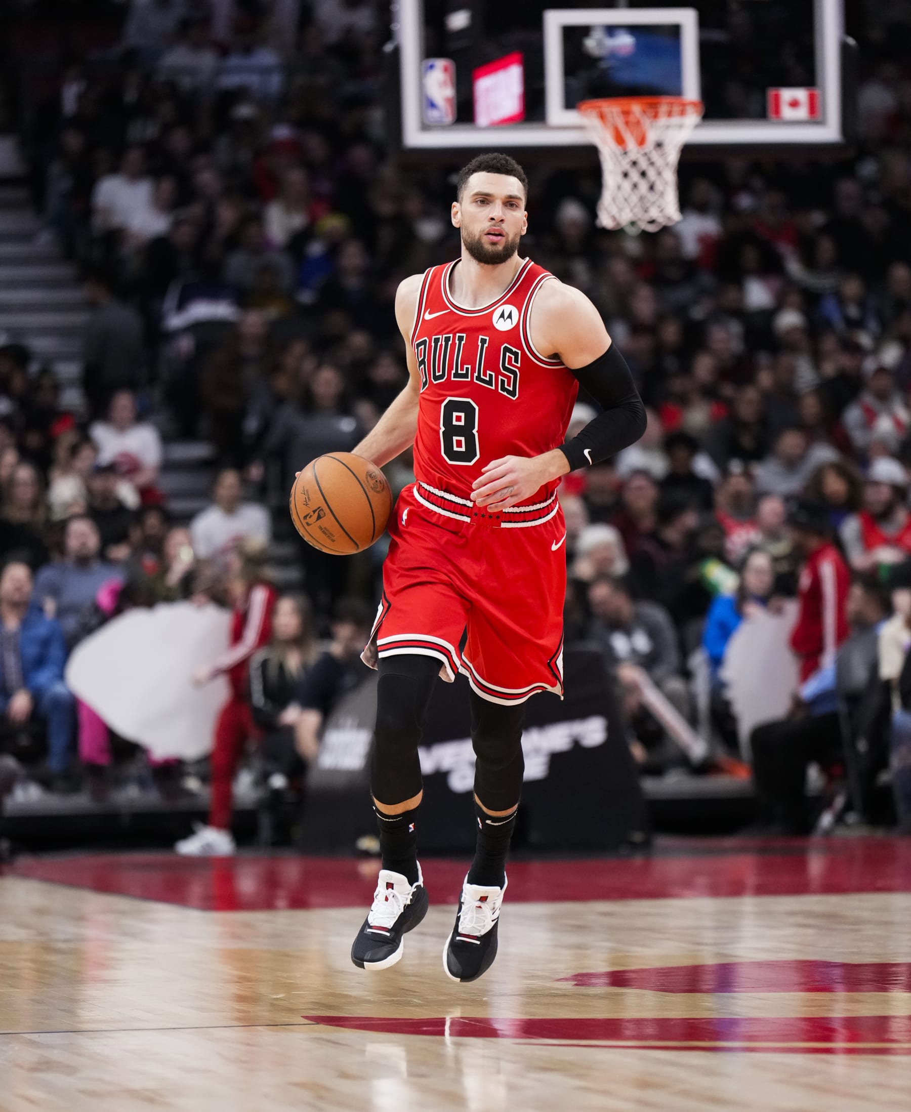 TORONTO, ON - JANUARY 18: Zach LaVine #8 of the Chicago Bulls dribbles against the Chicago Bulls during the second half of their basketball game at the Scotiabank Arena on January 18, 2024 in Toronto, Ontario, Canada. NOTE TO USER: User expressly acknowledges and agrees that, by downloading and/or using this Photograph, user is consenting to the terms and conditions of the Getty Images License Agreement. (Photo by Mark Blinch/Getty Images)